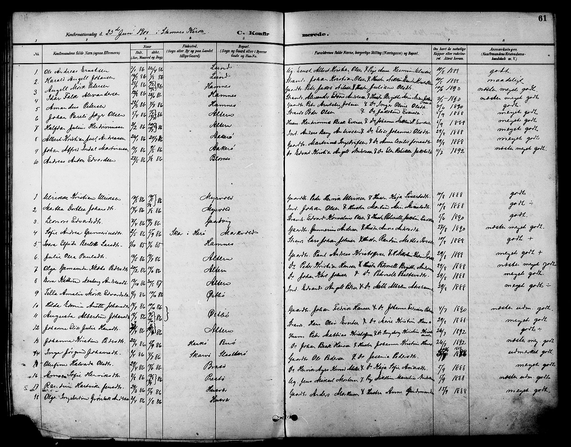 Ministerialprotokoller, klokkerbøker og fødselsregistre - Nordland, SAT/A-1459/830/L0463: Parish register (copy) no. 830C05, 1895-1906, p. 61