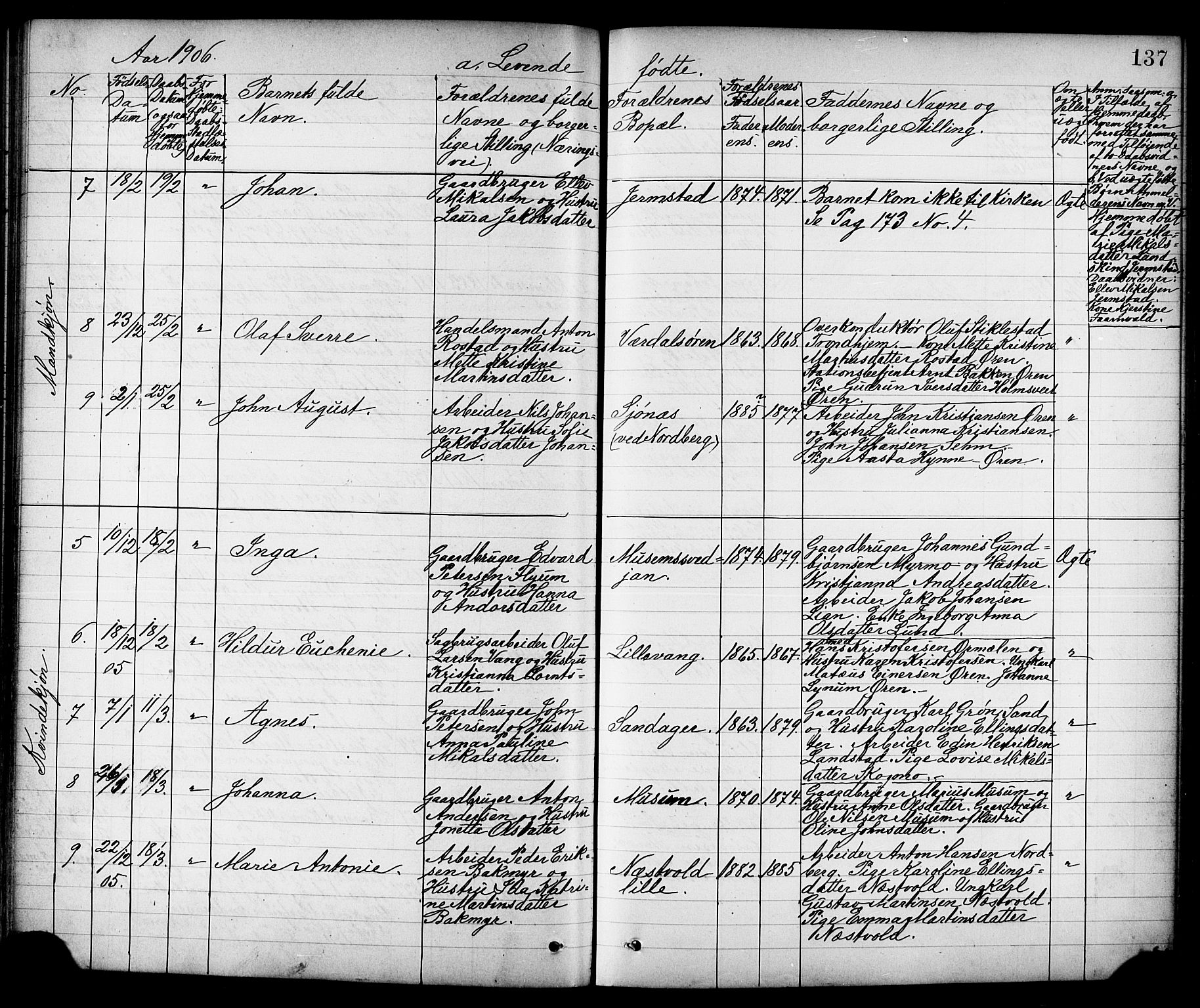 Ministerialprotokoller, klokkerbøker og fødselsregistre - Nord-Trøndelag, AV/SAT-A-1458/723/L0257: Parish register (copy) no. 723C05, 1890-1907, p. 137