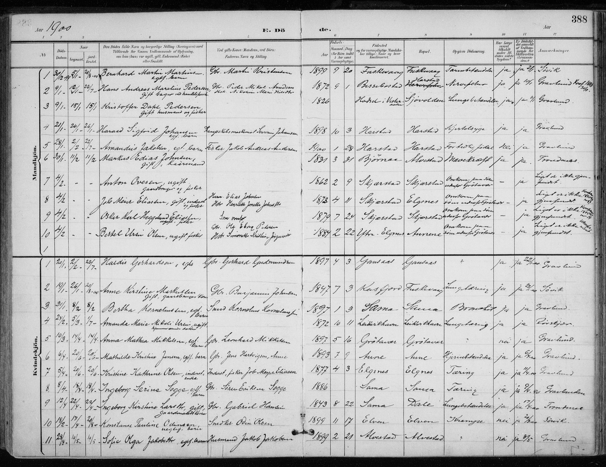 Trondenes sokneprestkontor, SATØ/S-1319/H/Ha/L0017kirke: Parish register (official) no. 17, 1899-1908, p. 388