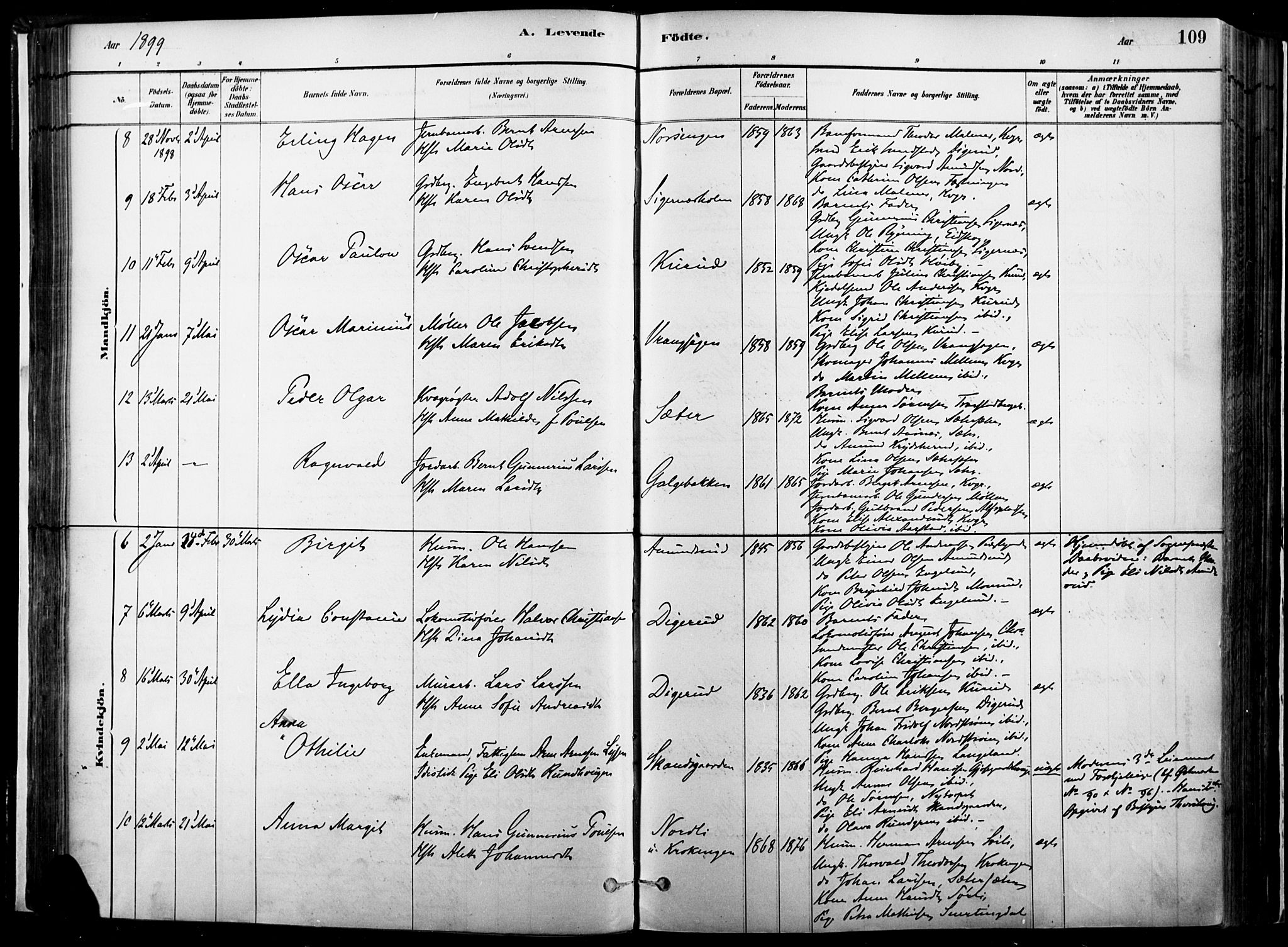 Vinger prestekontor, AV/SAH-PREST-024/H/Ha/Haa/L0014: Parish register (official) no. 14, 1881-1900, p. 109