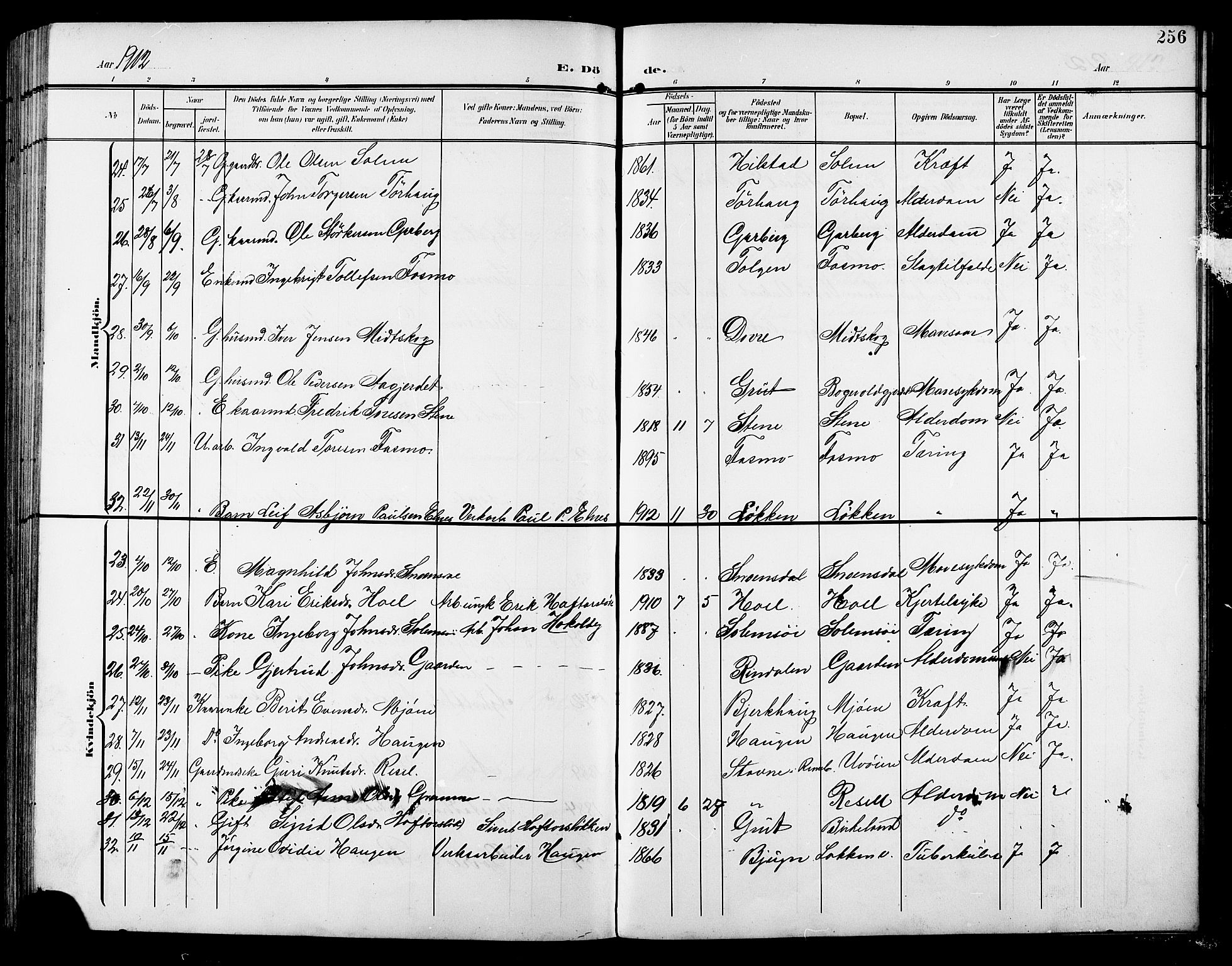 Ministerialprotokoller, klokkerbøker og fødselsregistre - Sør-Trøndelag, SAT/A-1456/672/L0864: Parish register (copy) no. 672C03, 1902-1914, p. 256