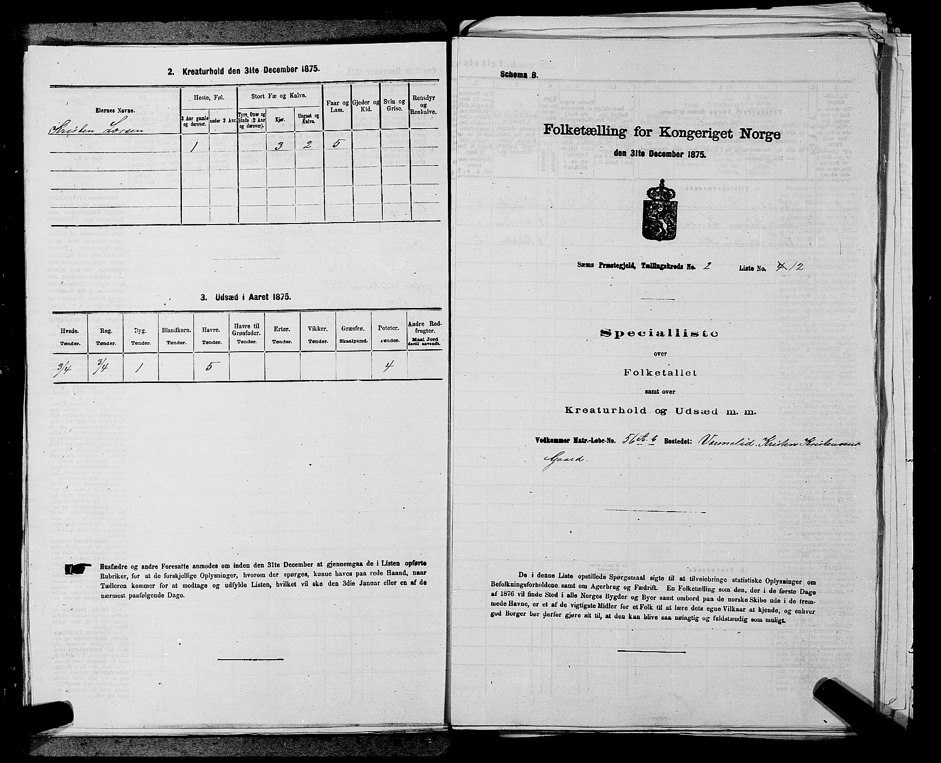 SAKO, 1875 census for 0721P Sem, 1875, p. 244