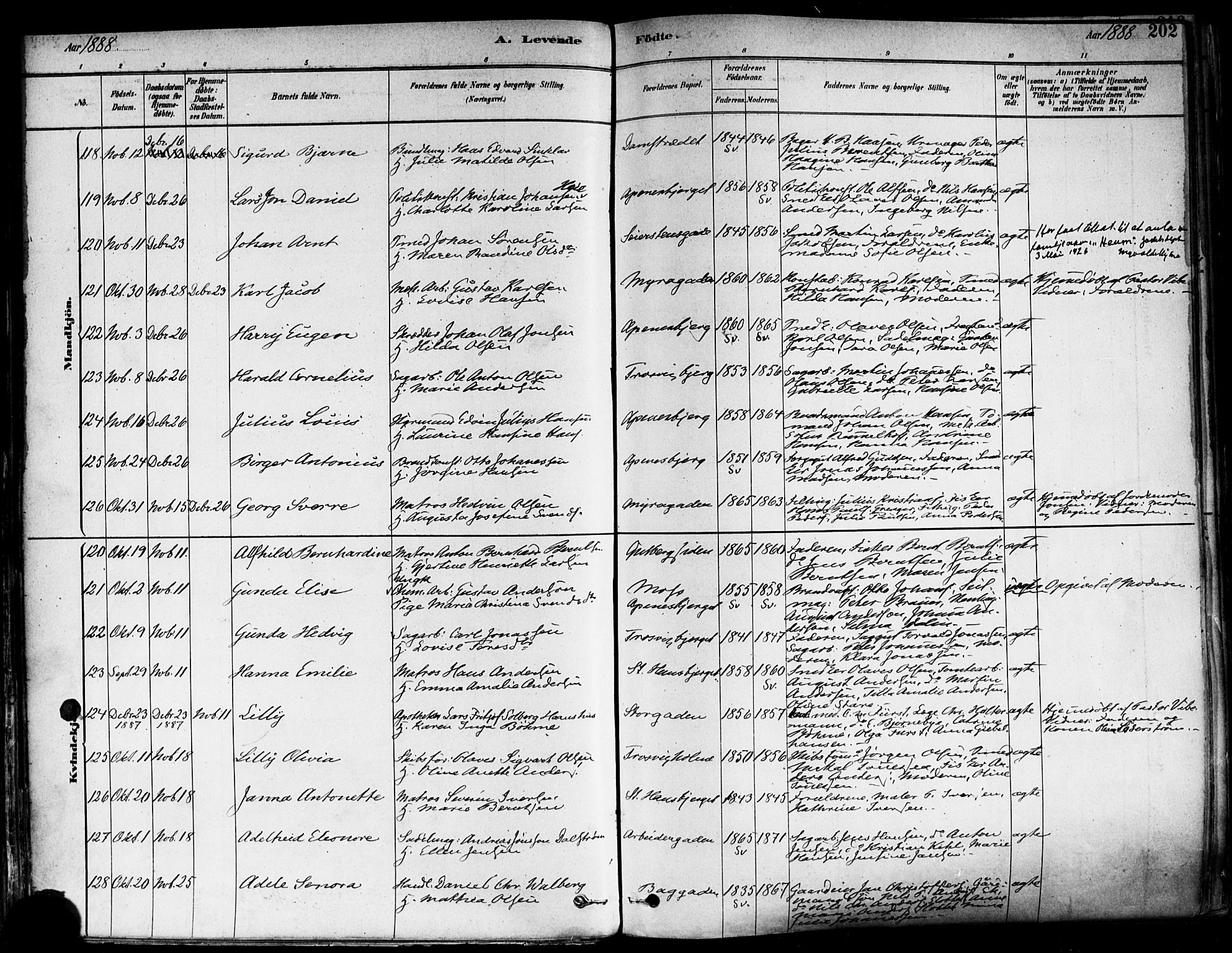 Fredrikstad domkirkes prestekontor Kirkebøker, SAO/A-10906/F/Fa/L0002: Parish register (official) no. 2, 1878-1894, p. 202