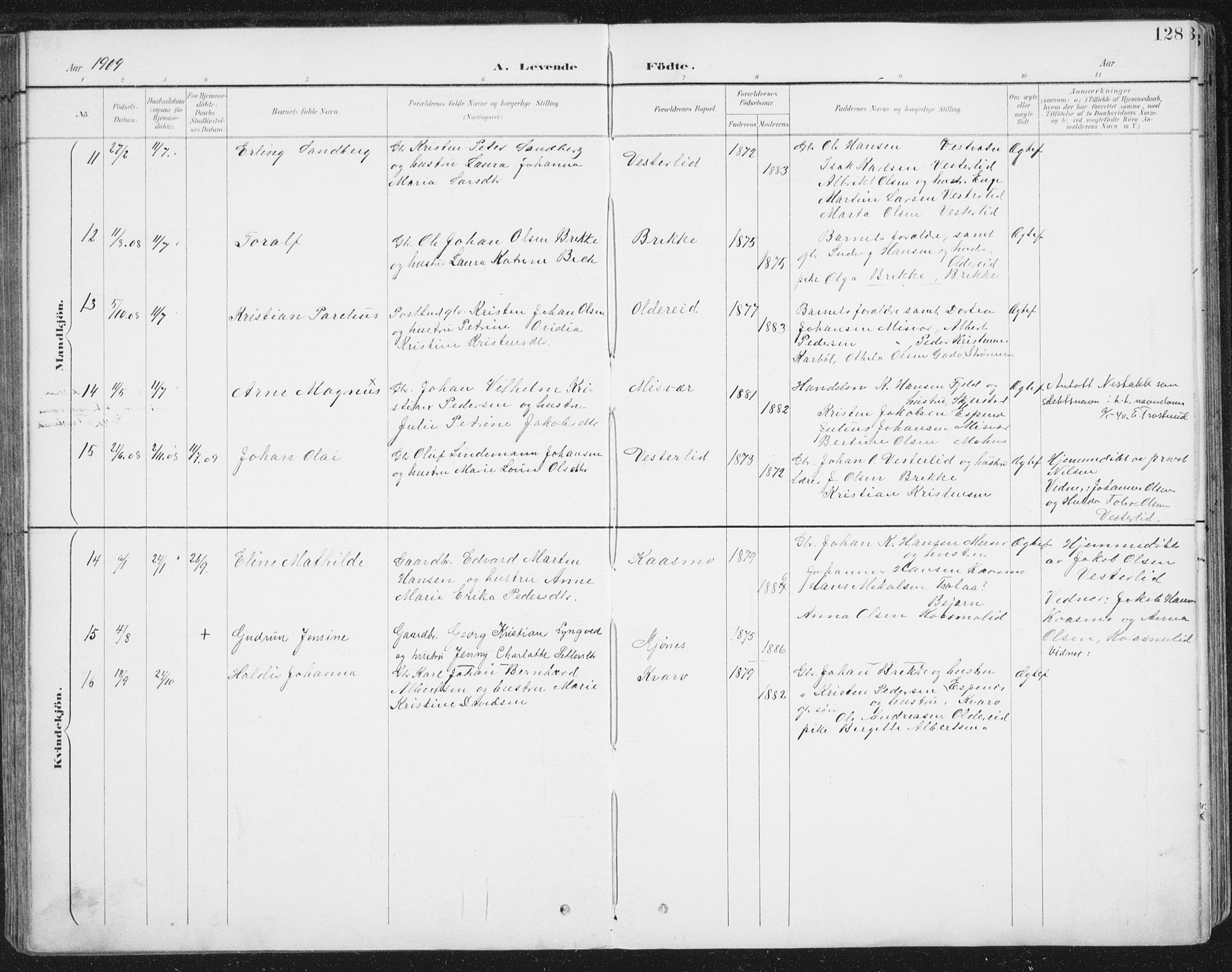 Ministerialprotokoller, klokkerbøker og fødselsregistre - Nordland, AV/SAT-A-1459/852/L0741: Parish register (official) no. 852A11, 1894-1917, p. 128