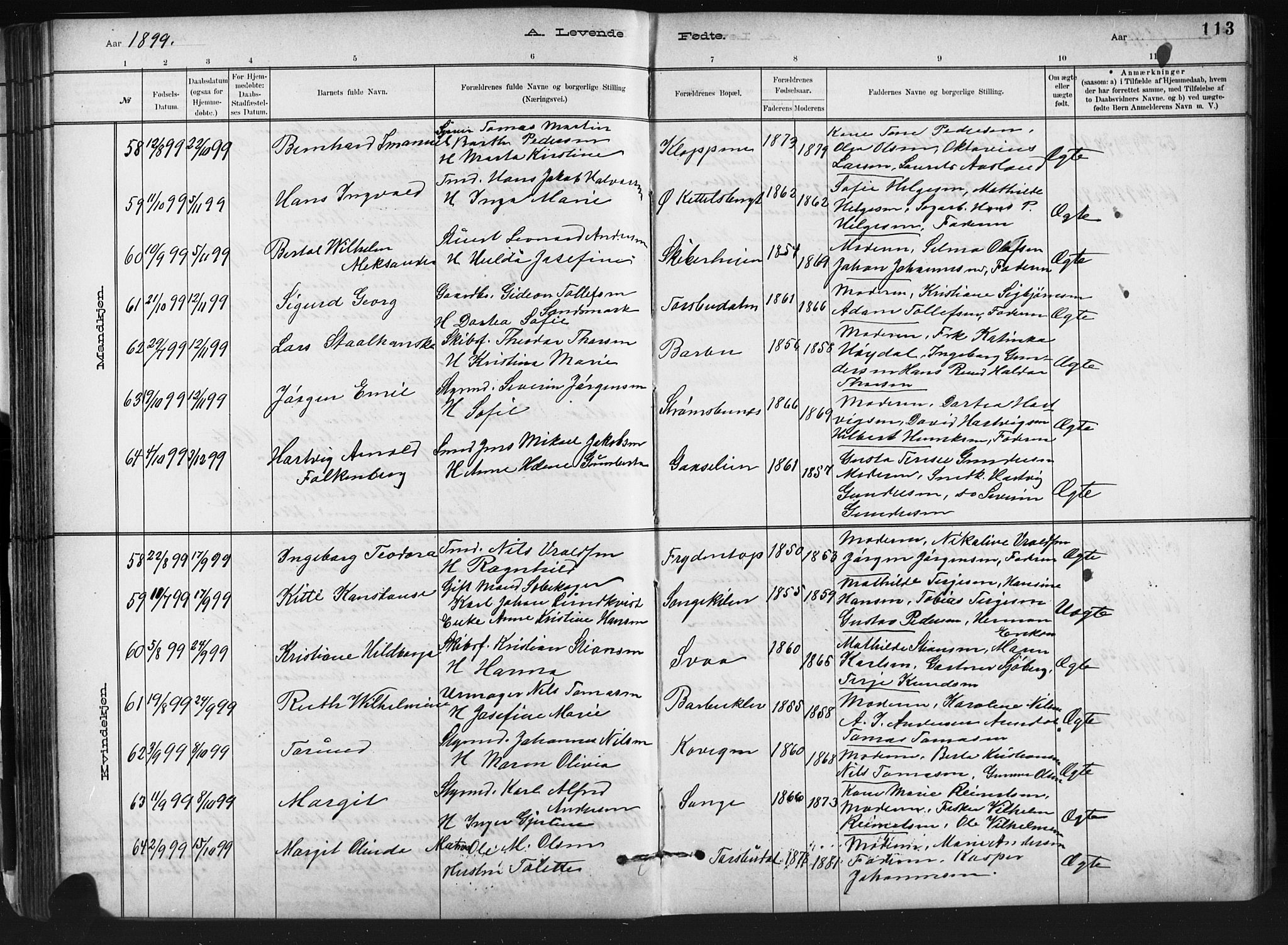 Barbu sokneprestkontor, AV/SAK-1111-0003/F/Fb/L0002: Parish register (copy) no. B 2, 1890-1922, p. 113