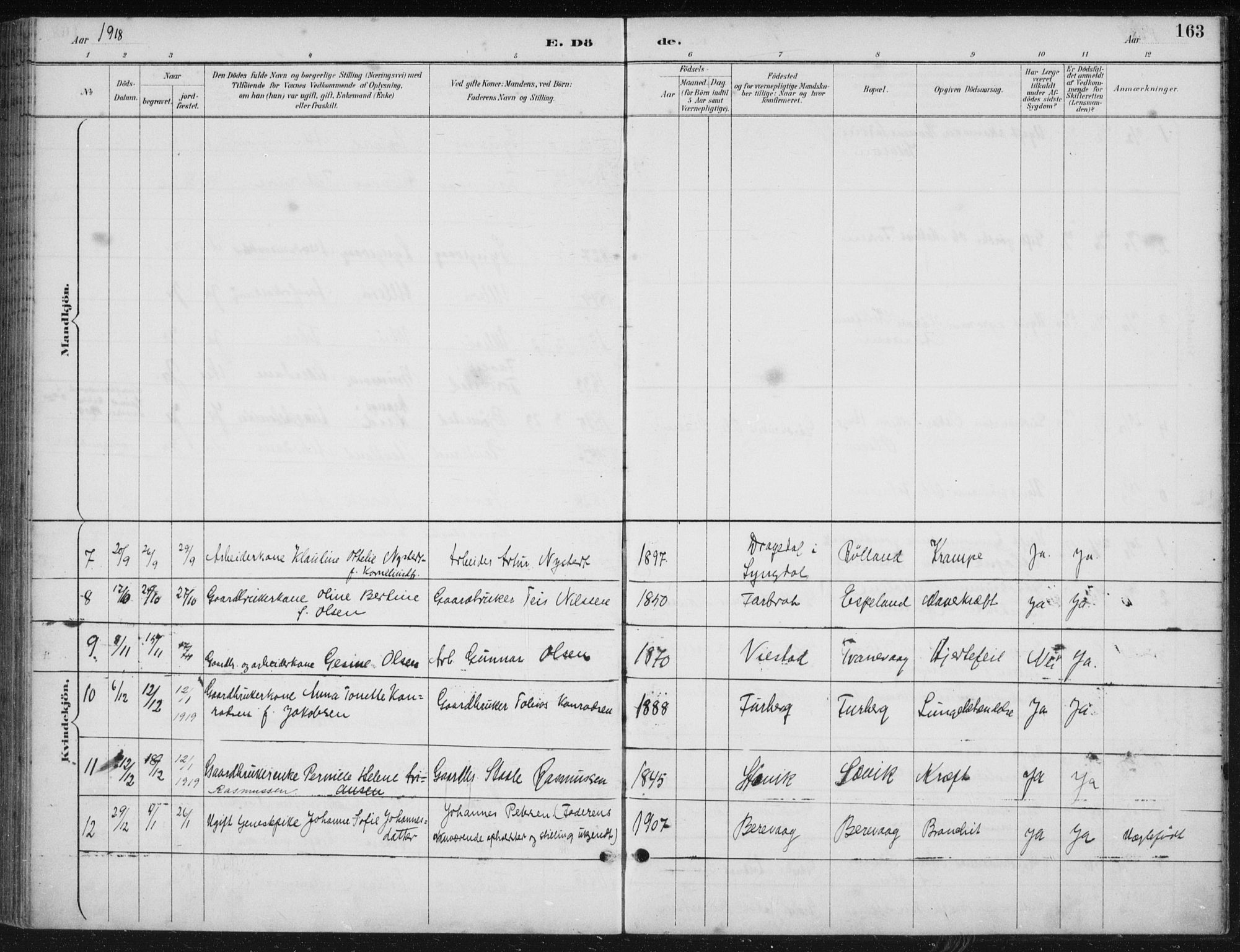 Herad sokneprestkontor, AV/SAK-1111-0018/F/Fb/Fbb/L0004: Parish register (copy) no. B 4, 1890-1935, p. 163