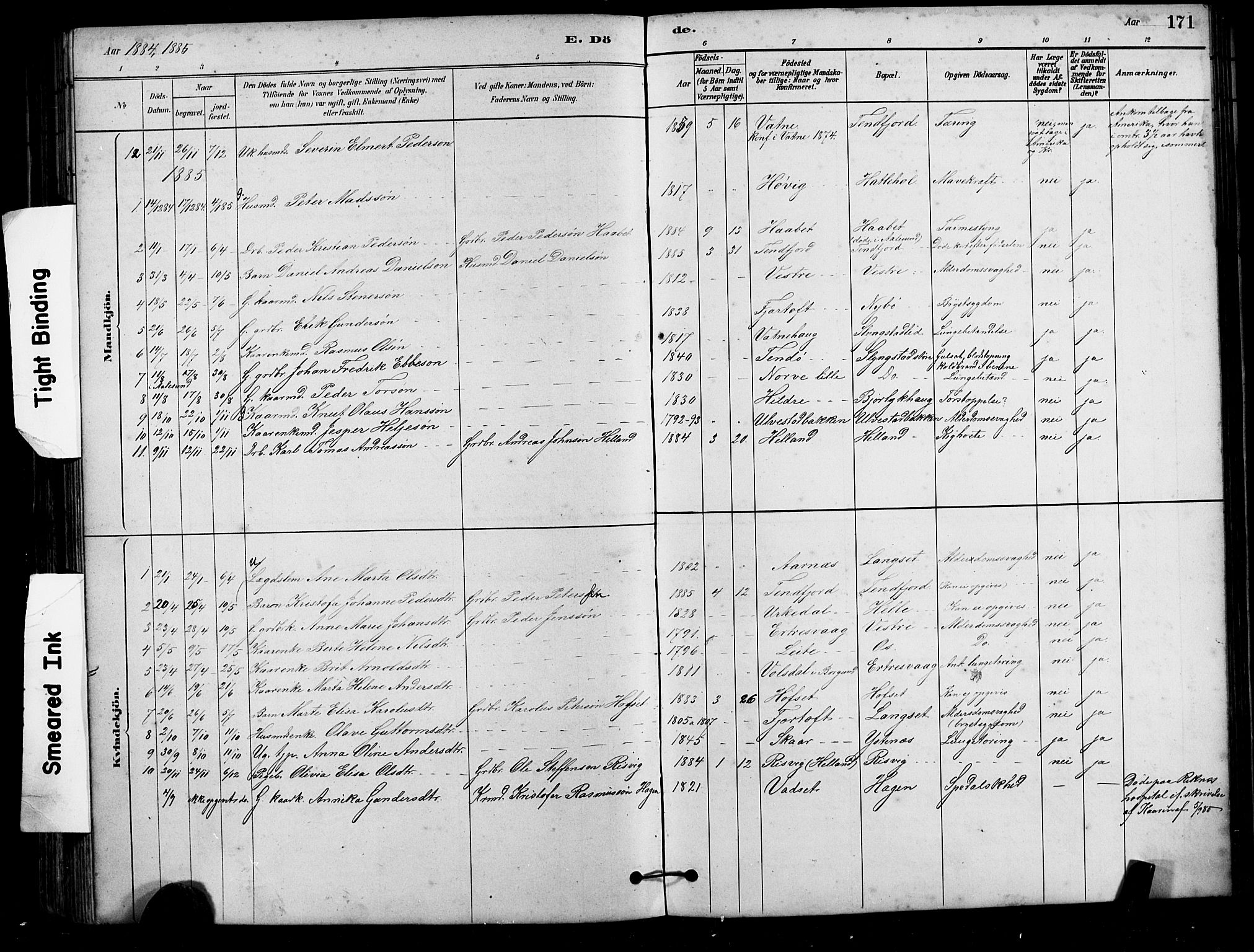 Ministerialprotokoller, klokkerbøker og fødselsregistre - Møre og Romsdal, AV/SAT-A-1454/525/L0376: Parish register (copy) no. 525C02, 1880-1902, p. 171