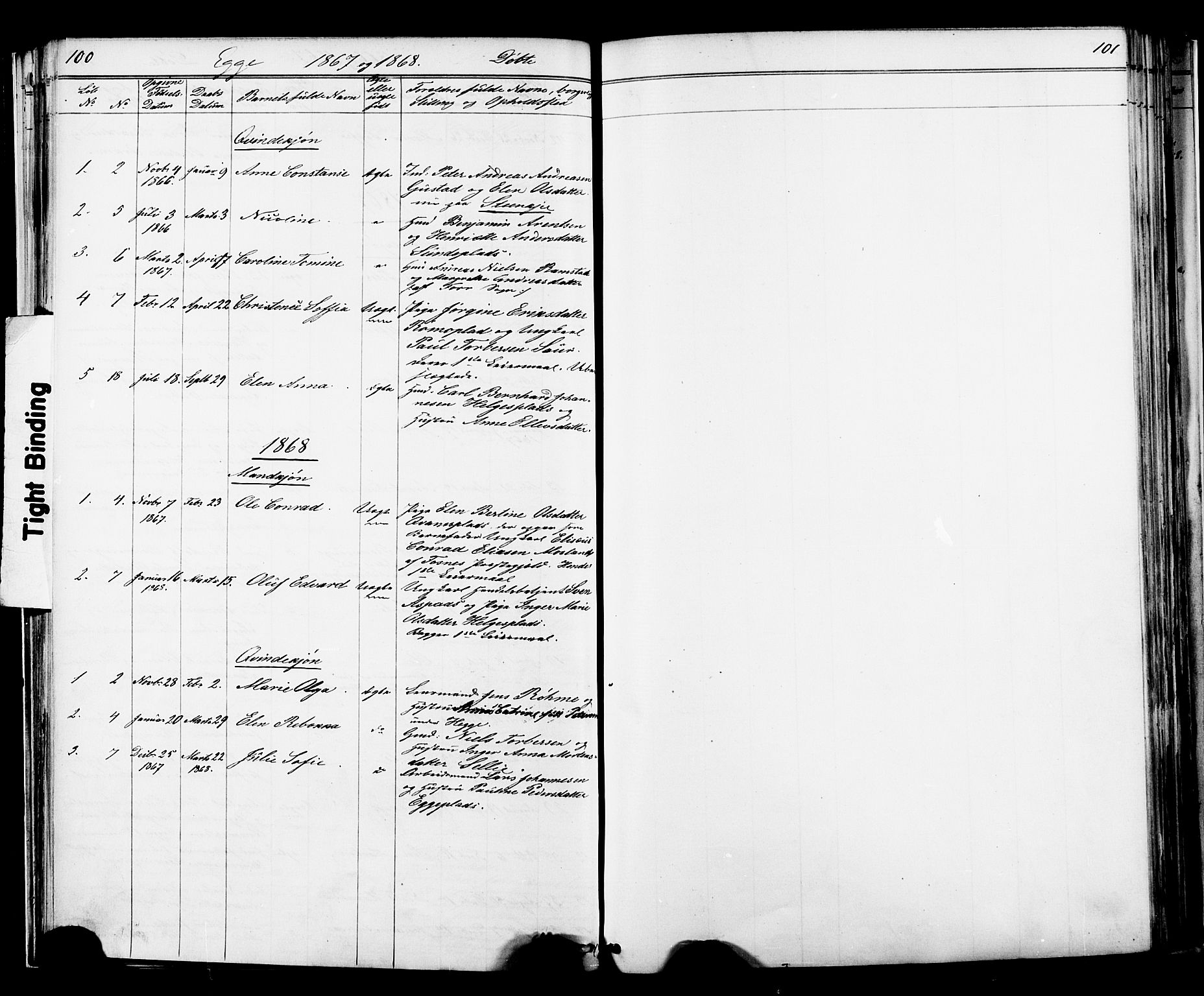 Ministerialprotokoller, klokkerbøker og fødselsregistre - Nord-Trøndelag, SAT/A-1458/739/L0367: Parish register (official) no. 739A01 /3, 1838-1868, p. 100-101