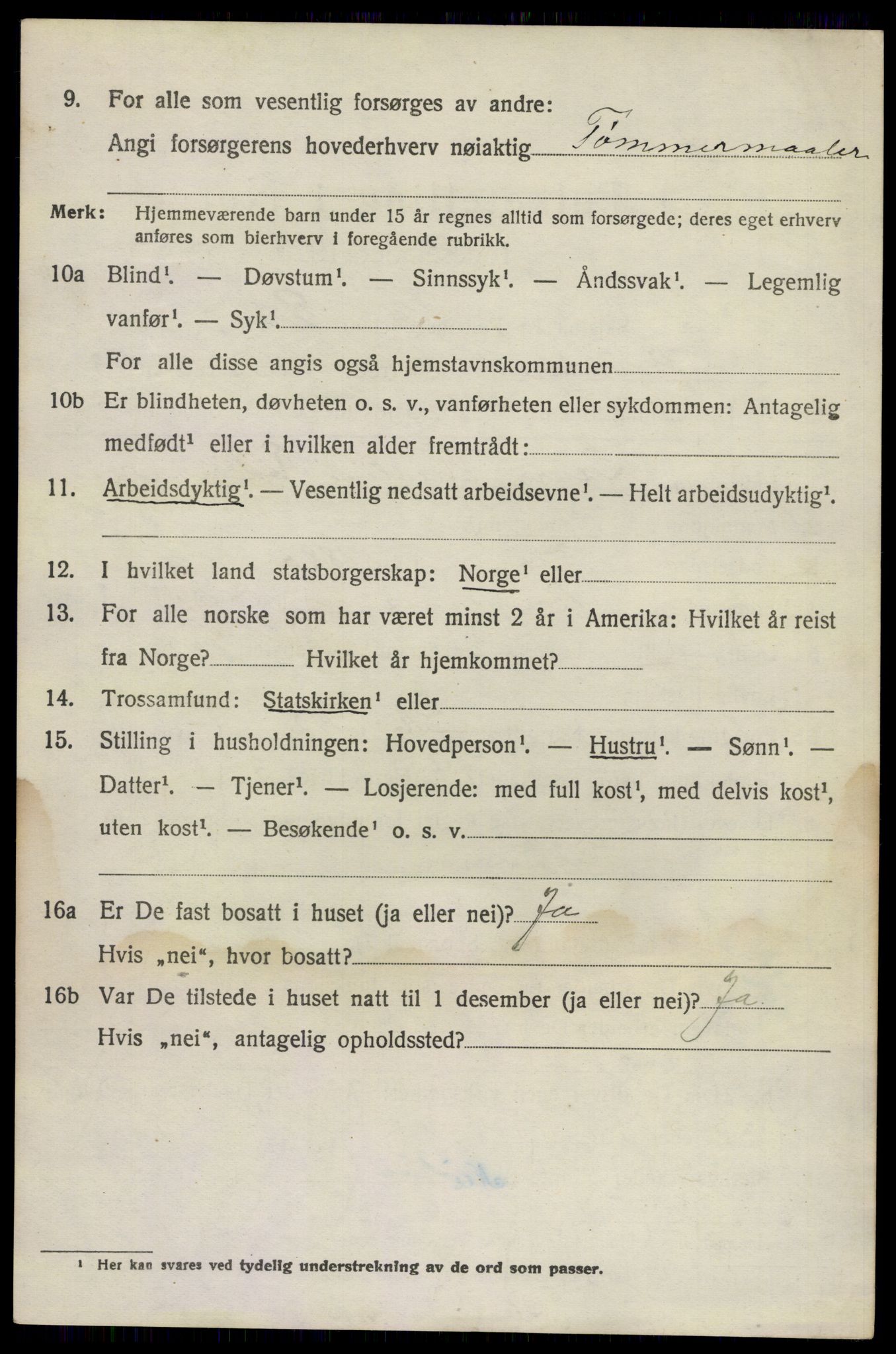 SAKO, 1920 census for Brunlanes, 1920, p. 11336