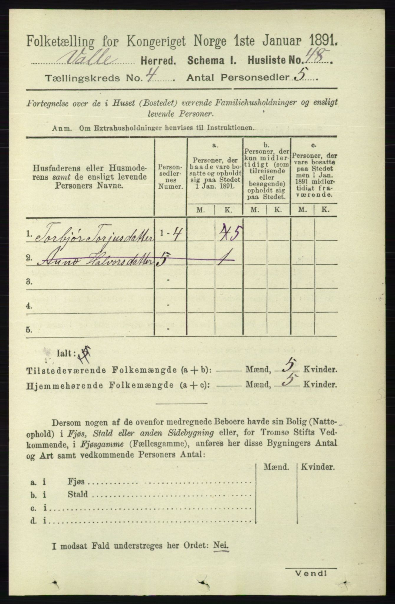 RA, 1891 census for 0940 Valle, 1891, p. 999