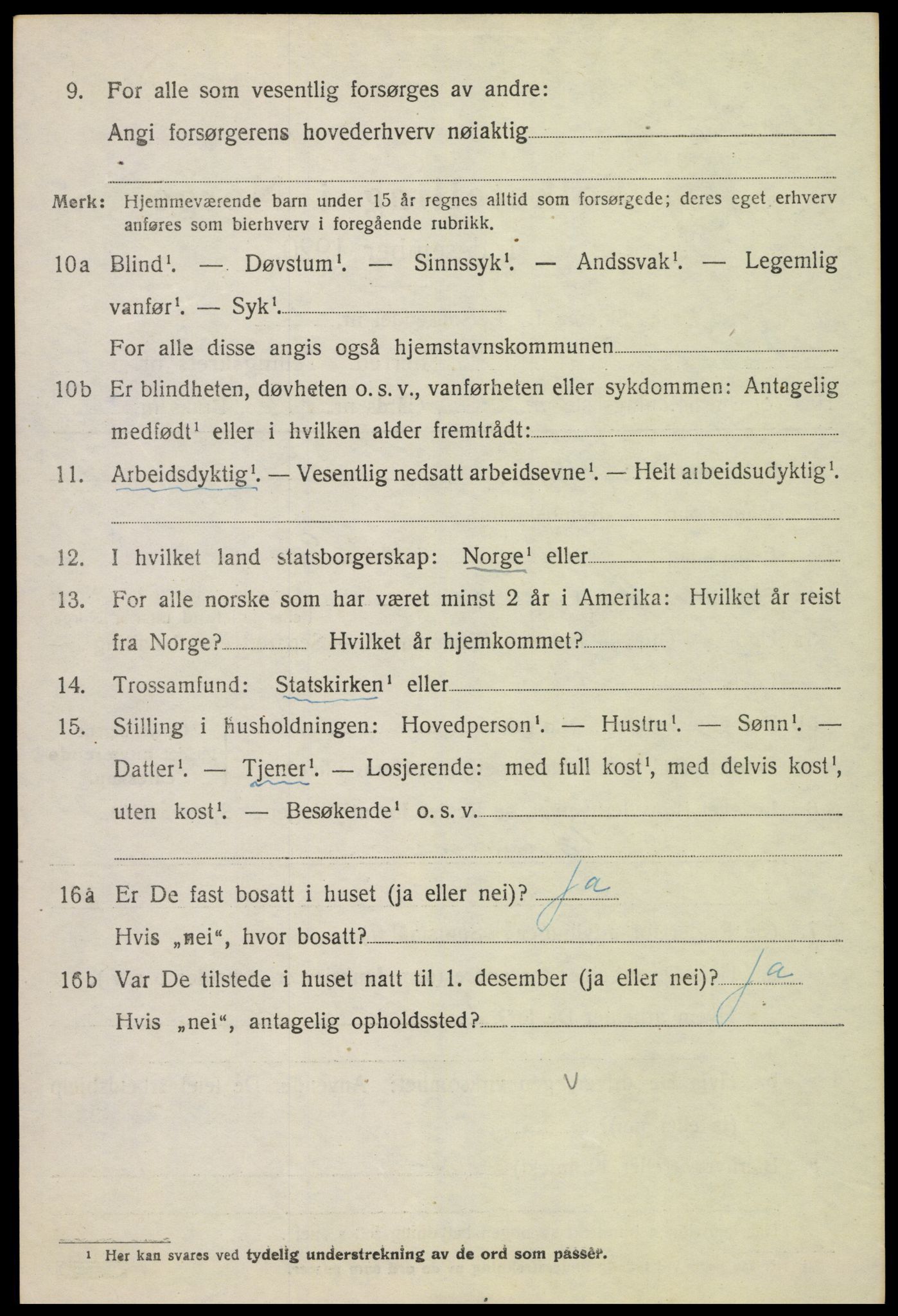 SAH, 1920 census for Nes (Hedmark), 1920, p. 4555