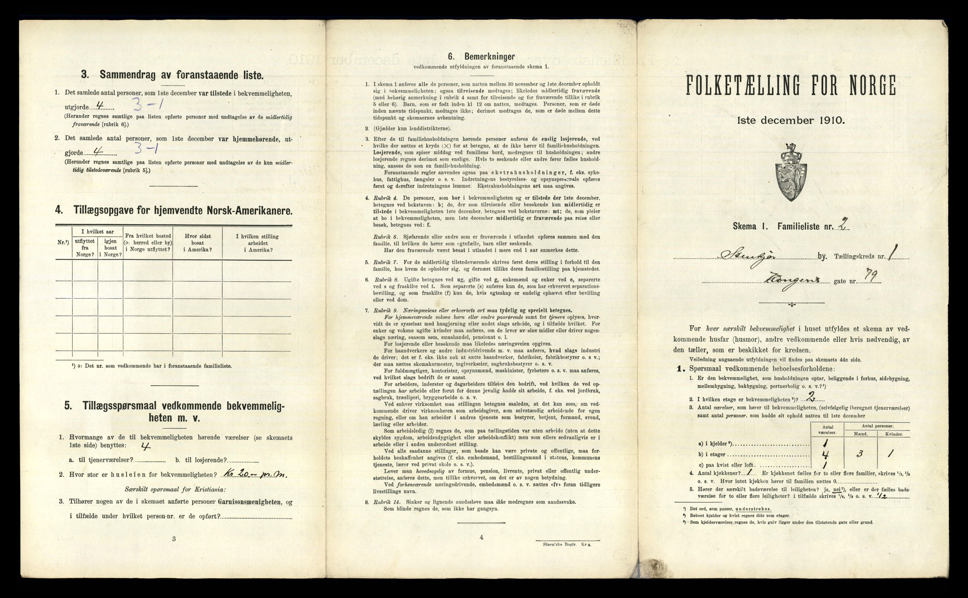 RA, 1910 census for Steinkjer, 1910, p. 294