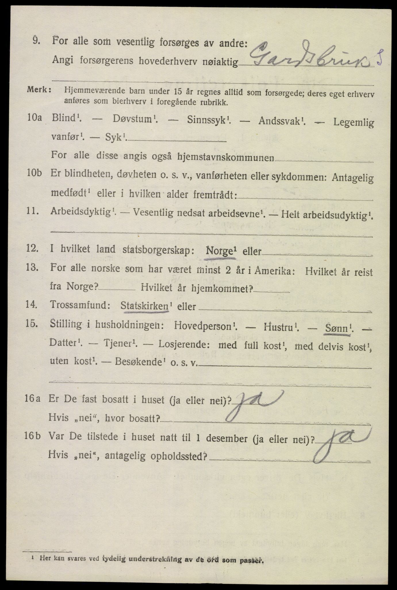 SAK, 1920 census for Hornnes, 1920, p. 3118