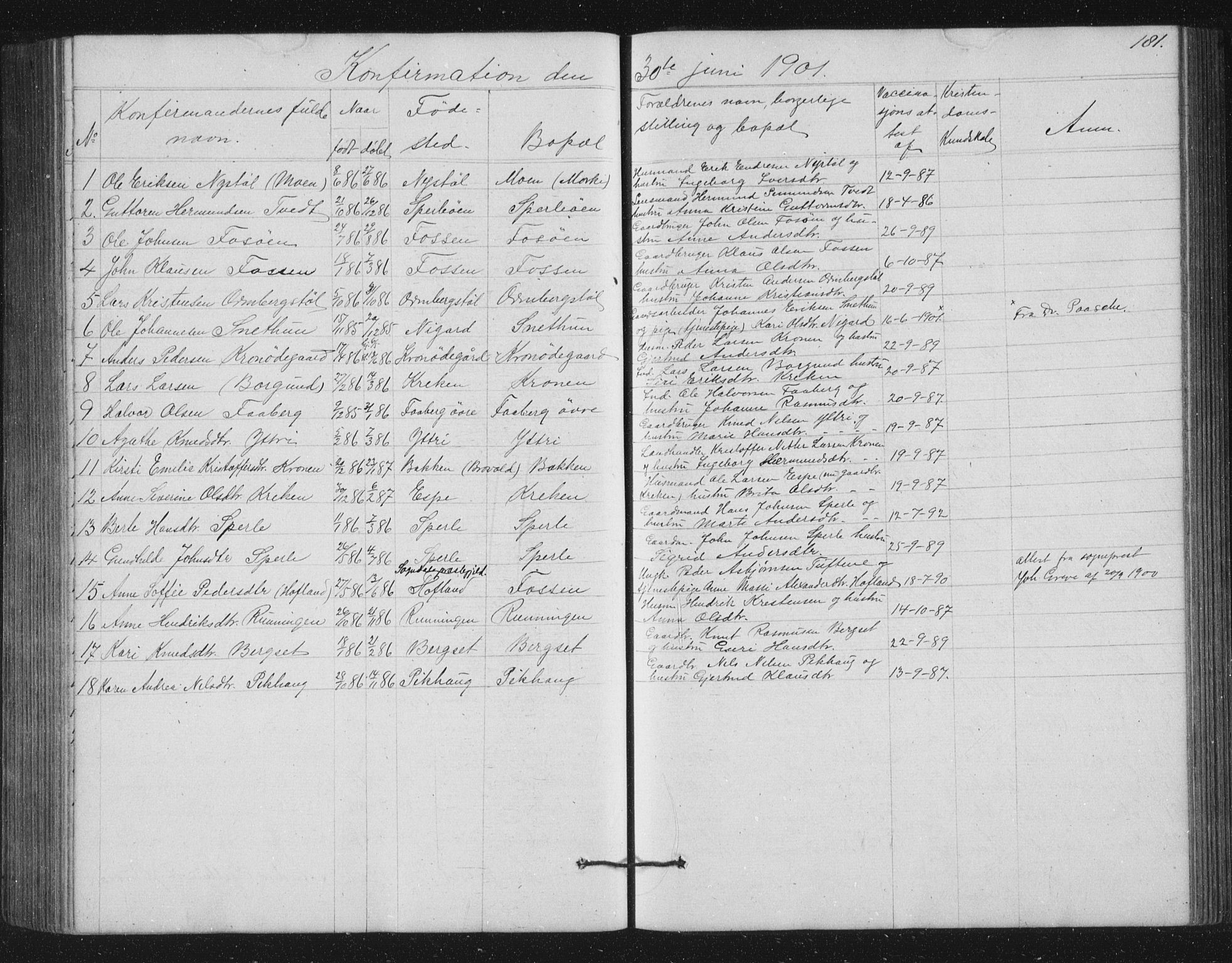 Jostedal sokneprestembete, SAB/A-80601/H/Hab/Haba/L0001: Parish register (copy) no. A 1, 1861-1906, p. 181