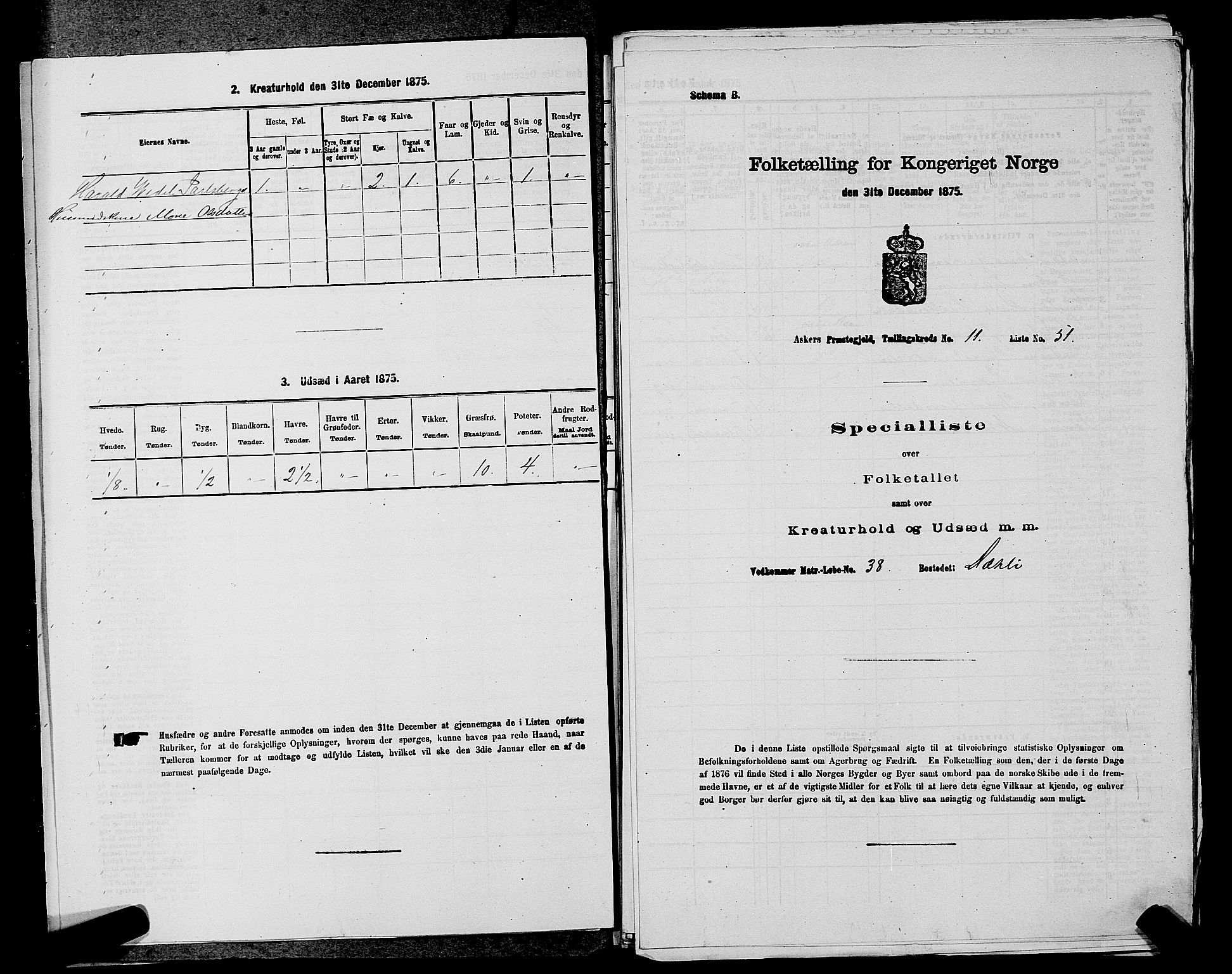 RA, 1875 census for 0220P Asker, 1875, p. 1917