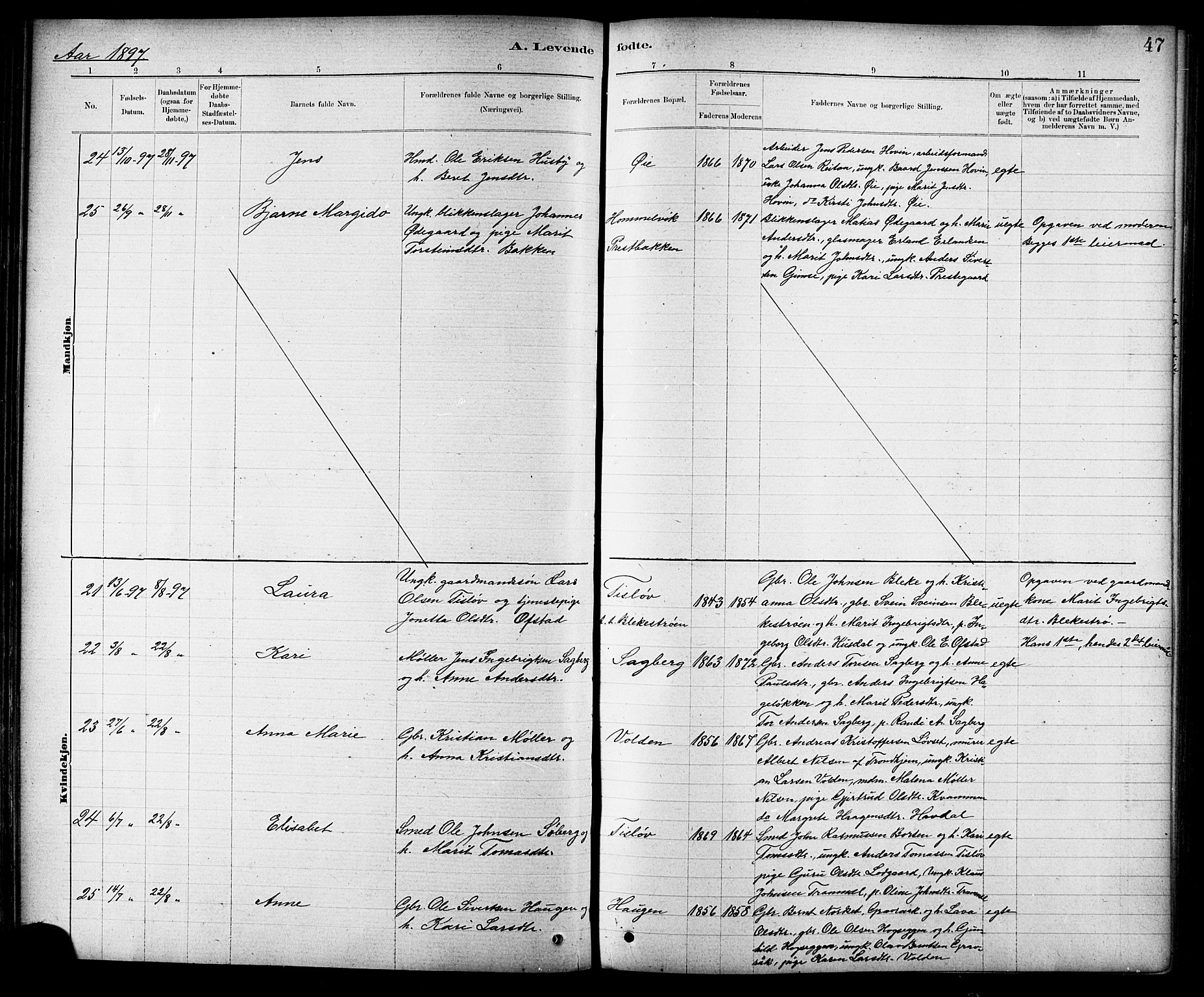 Ministerialprotokoller, klokkerbøker og fødselsregistre - Sør-Trøndelag, AV/SAT-A-1456/691/L1094: Parish register (copy) no. 691C05, 1879-1911, p. 47