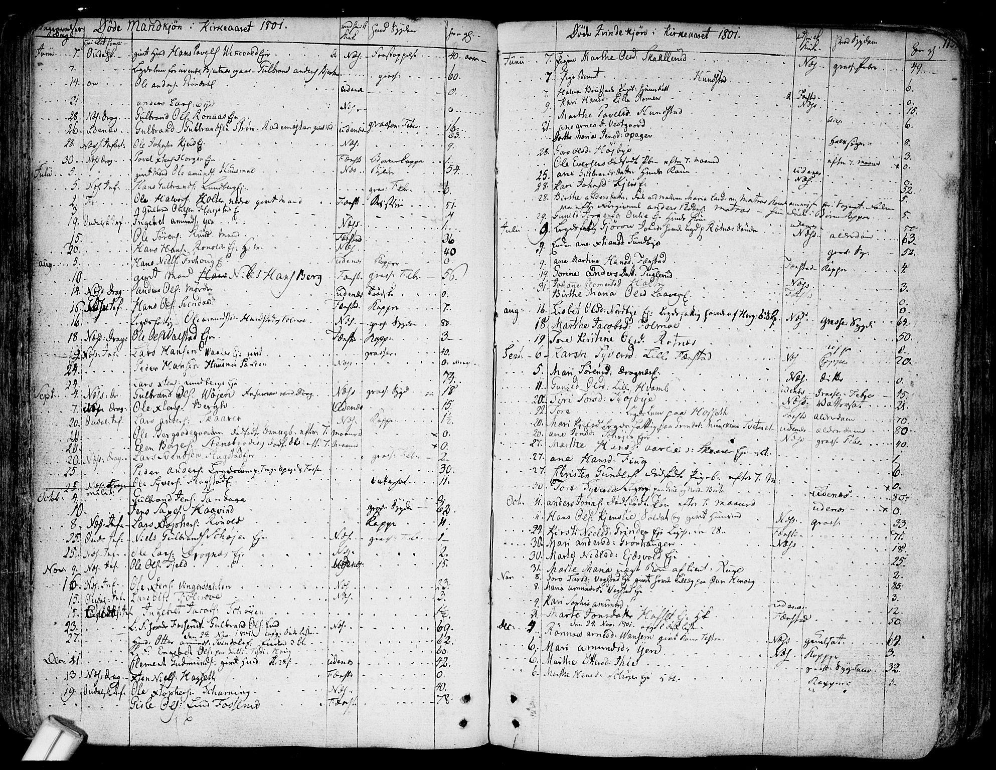 Nes prestekontor Kirkebøker, SAO/A-10410/F/Fa/L0004: Parish register (official) no. I 4, 1781-1816, p. 113
