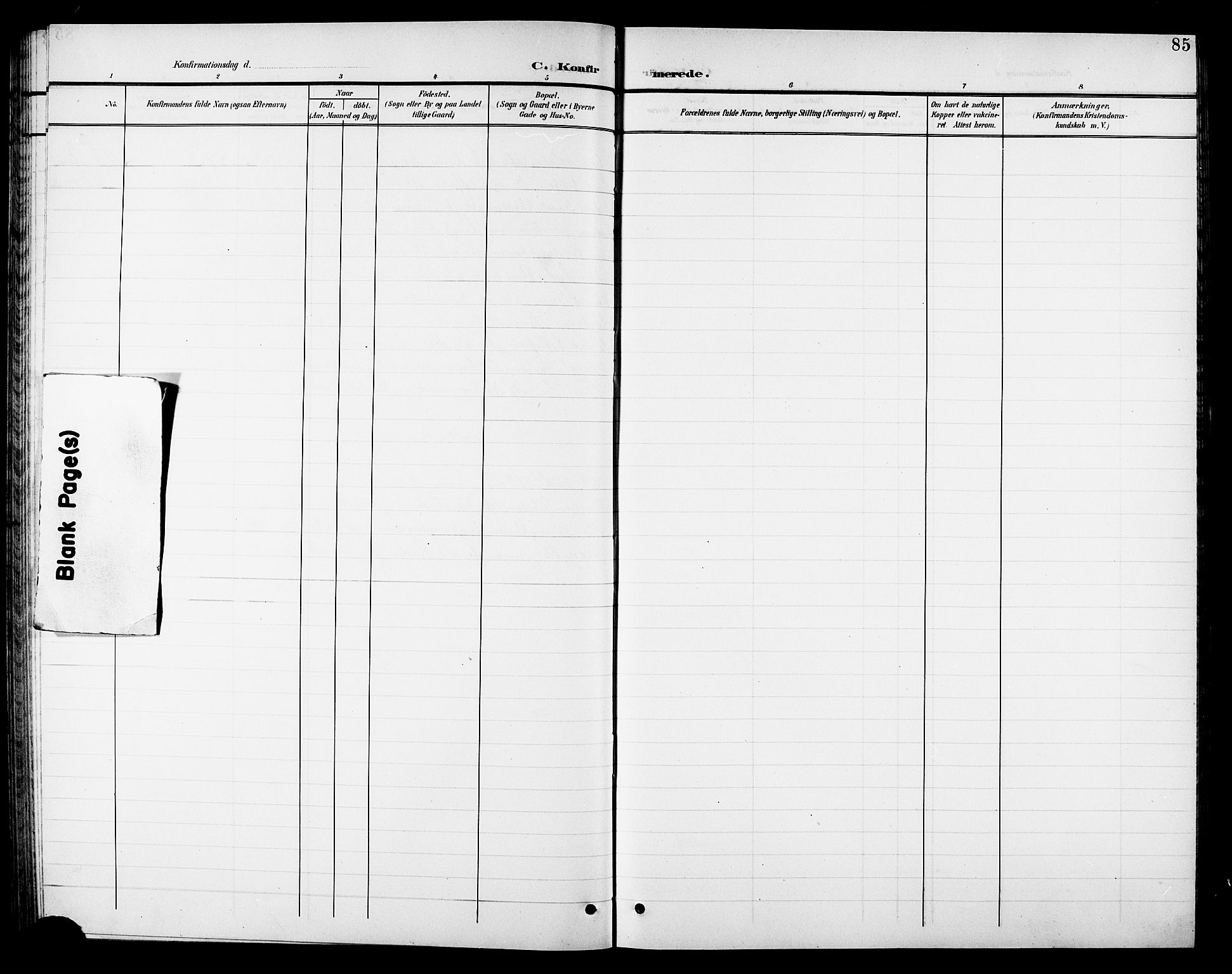 Ministerialprotokoller, klokkerbøker og fødselsregistre - Nordland, SAT/A-1459/810/L0161: Parish register (copy) no. 810C04, 1897-1910, p. 85