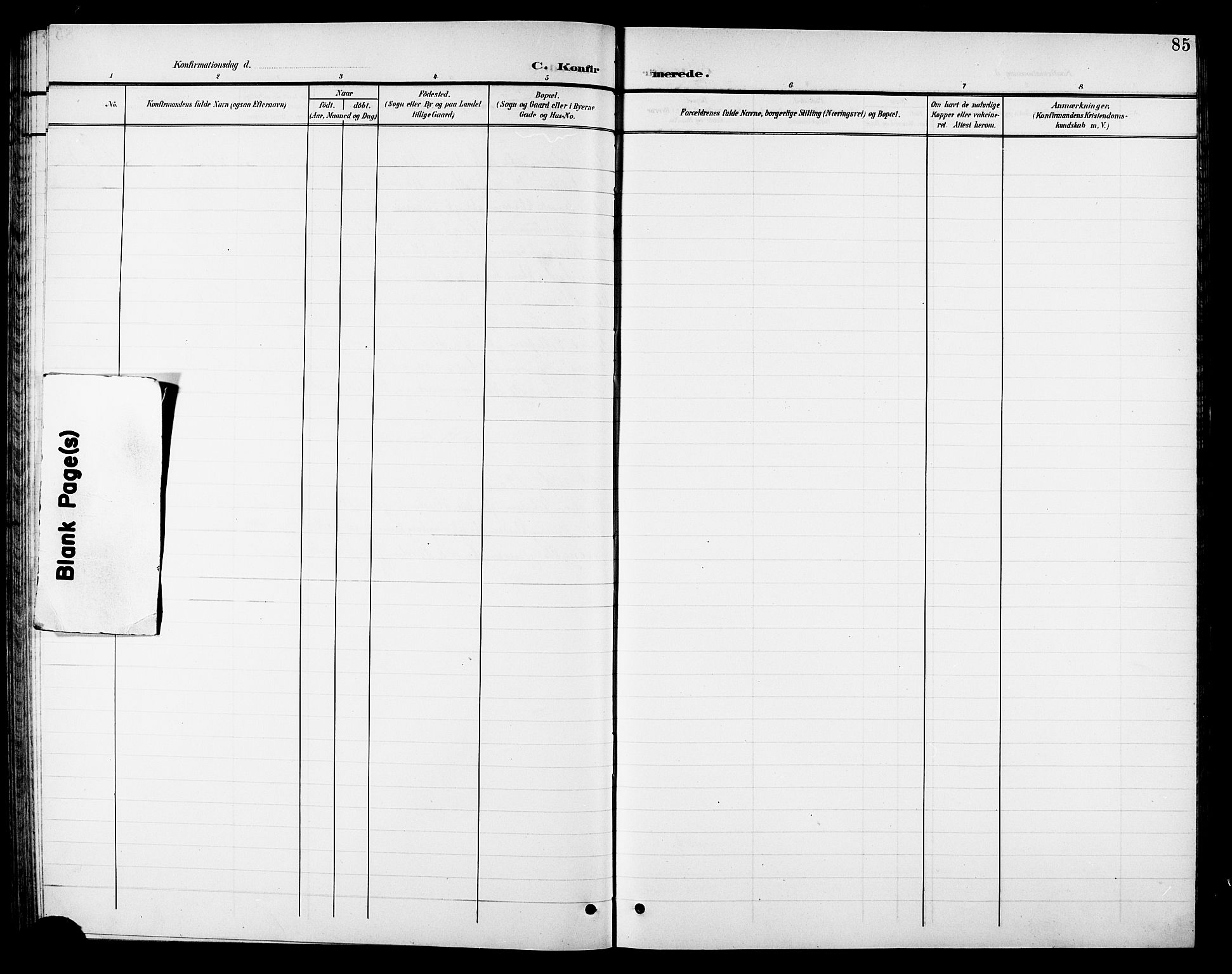 Ministerialprotokoller, klokkerbøker og fødselsregistre - Nordland, AV/SAT-A-1459/810/L0161: Parish register (copy) no. 810C04, 1897-1910, p. 85