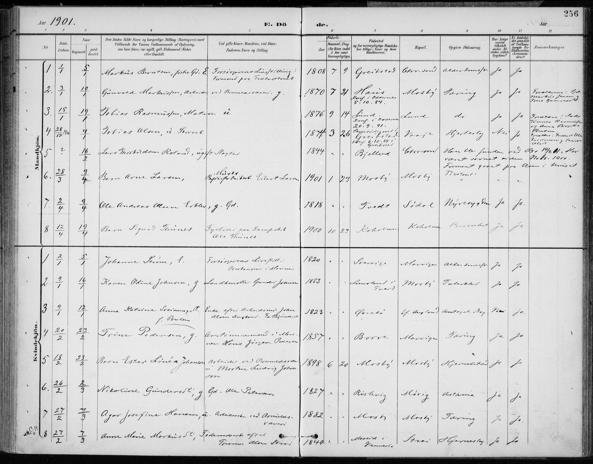 Oddernes sokneprestkontor, AV/SAK-1111-0033/F/Fa/Faa/L0010: Parish register (official) no. A 10, 1897-1911, p. 256