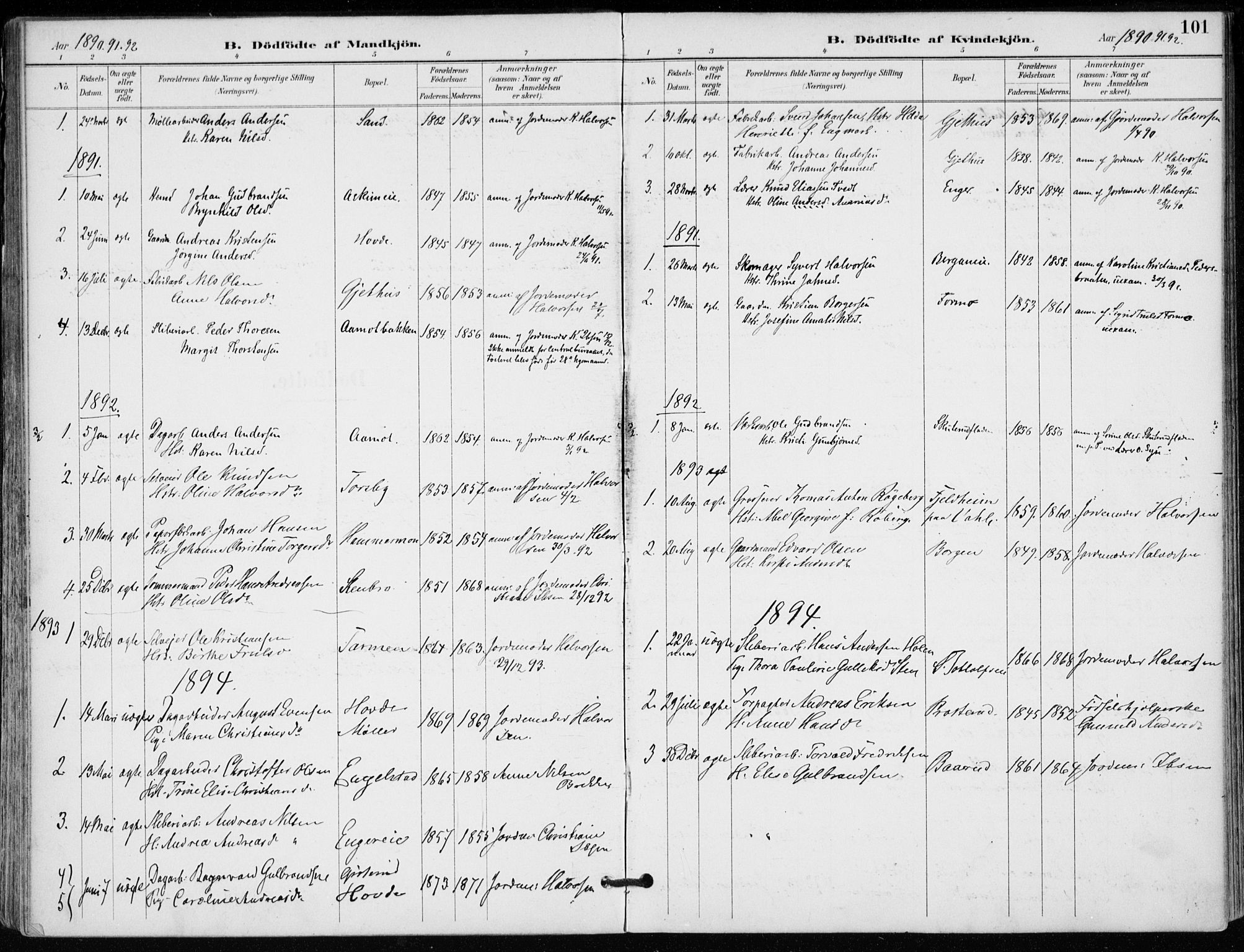 Modum kirkebøker, AV/SAKO-A-234/F/Fa/L0012: Parish register (official) no. 12, 1890-1898, p. 101