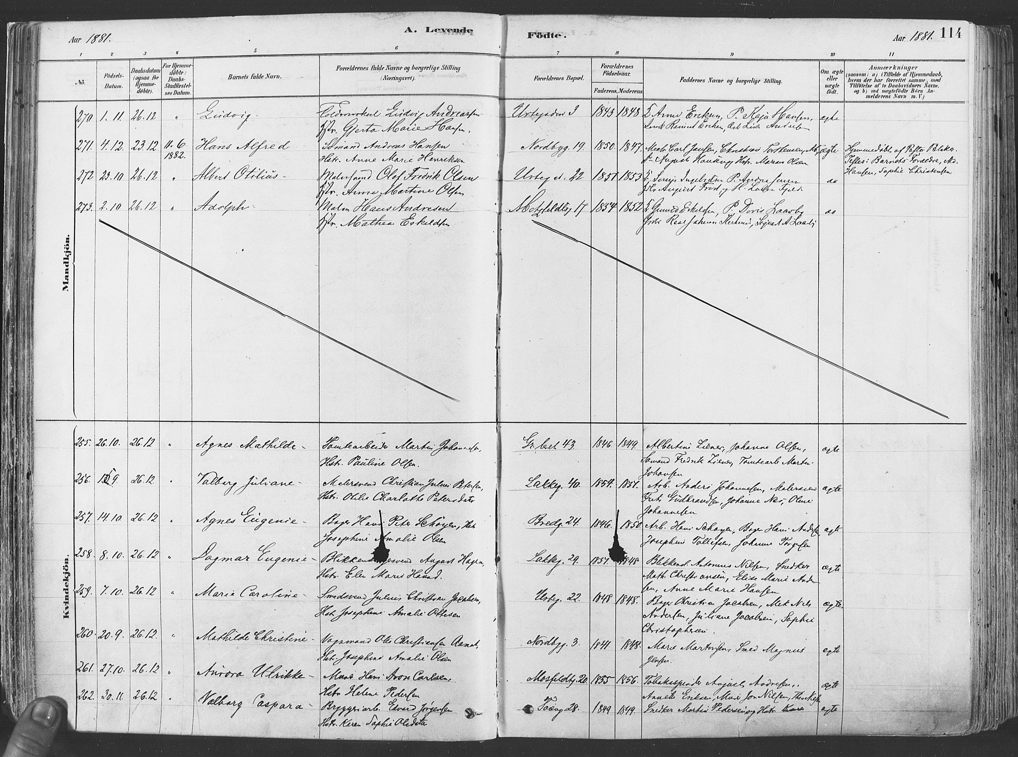 Grønland prestekontor Kirkebøker, SAO/A-10848/F/Fa/L0007: Parish register (official) no. 7, 1878-1888, p. 114