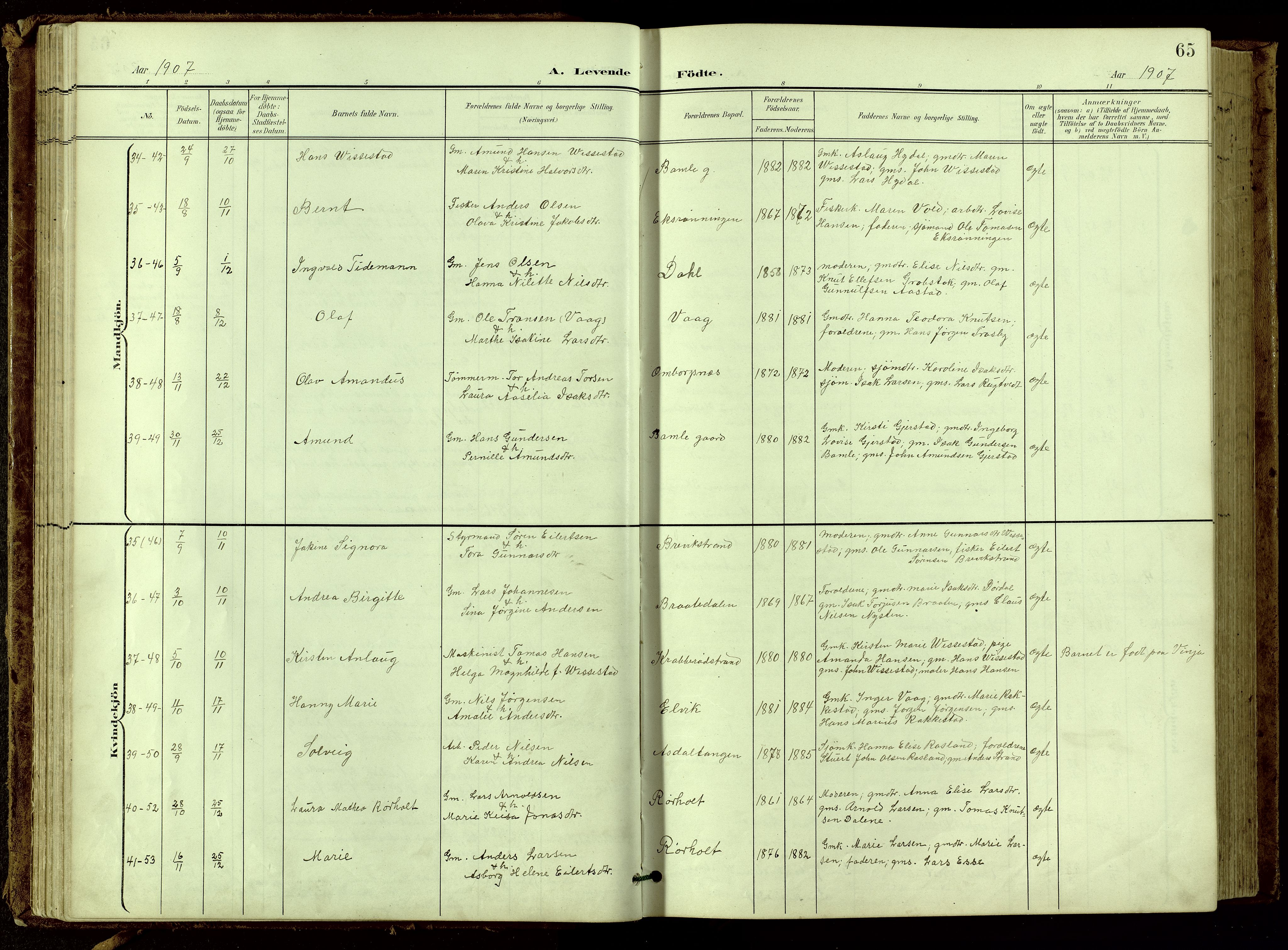 Bamble kirkebøker, SAKO/A-253/G/Ga/L0010: Parish register (copy) no. I 10, 1901-1919, p. 65