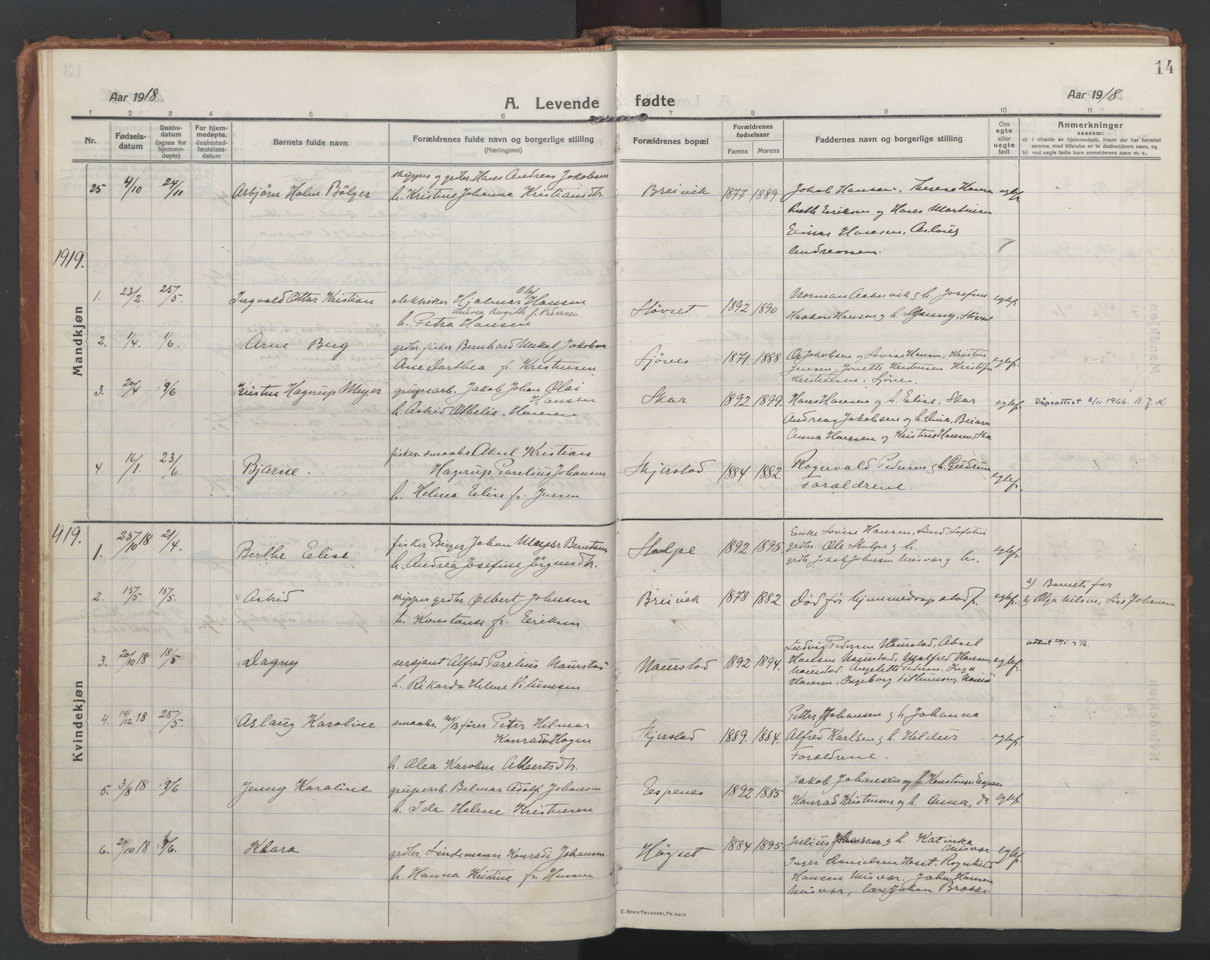 Ministerialprotokoller, klokkerbøker og fødselsregistre - Nordland, SAT/A-1459/852/L0748: Parish register (official) no. 852A18, 1913-1932, p. 14