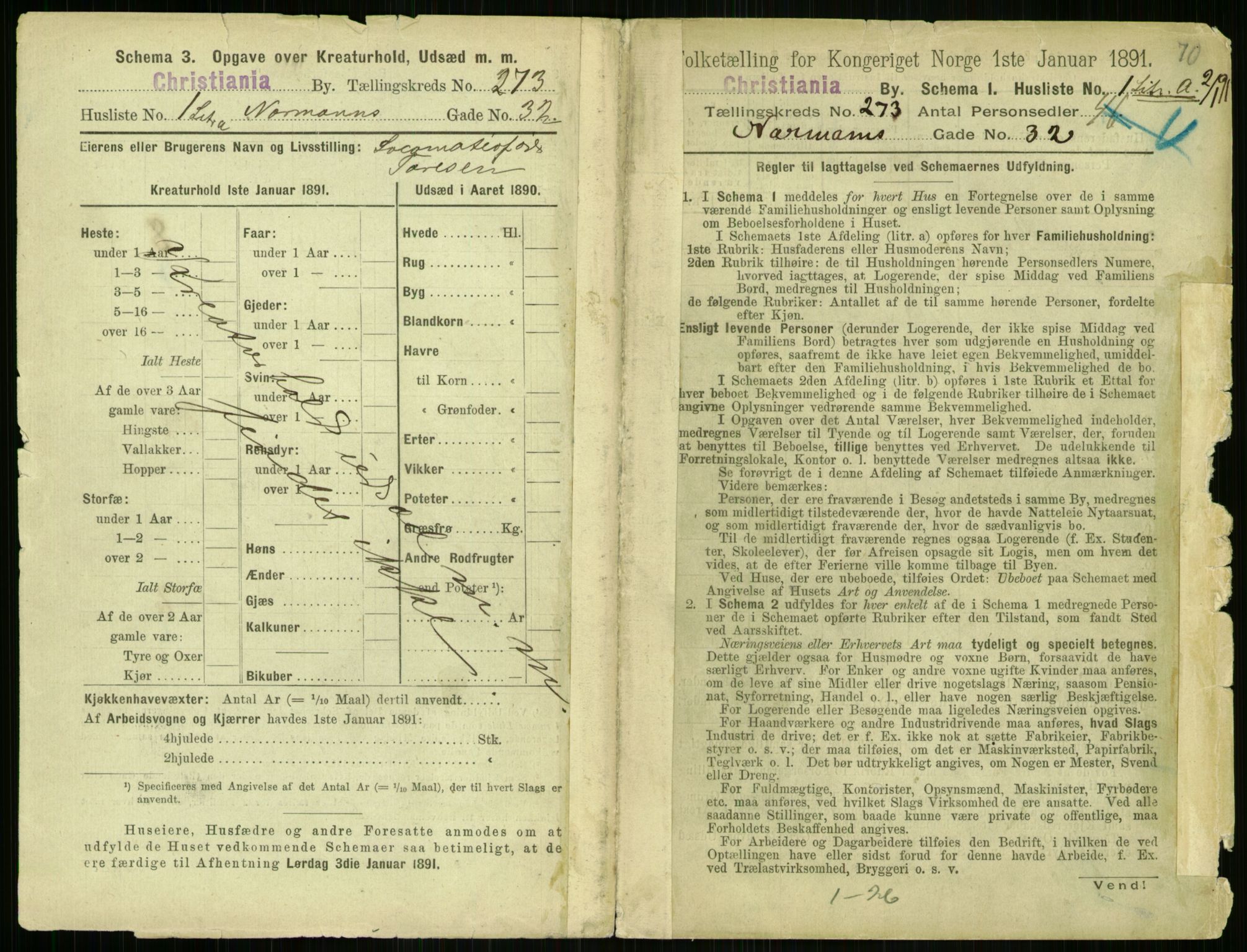 RA, 1891 census for 0301 Kristiania, 1891, p. 165699