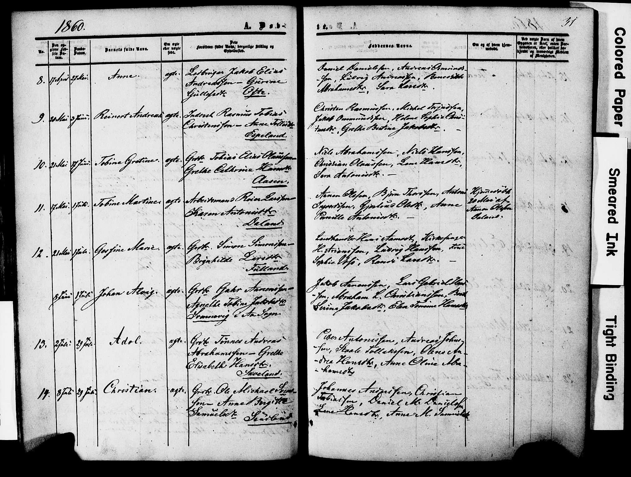 Herad sokneprestkontor, AV/SAK-1111-0018/F/Fa/Faa/L0005: Parish register (official) no. A 5, 1853-1886, p. 31