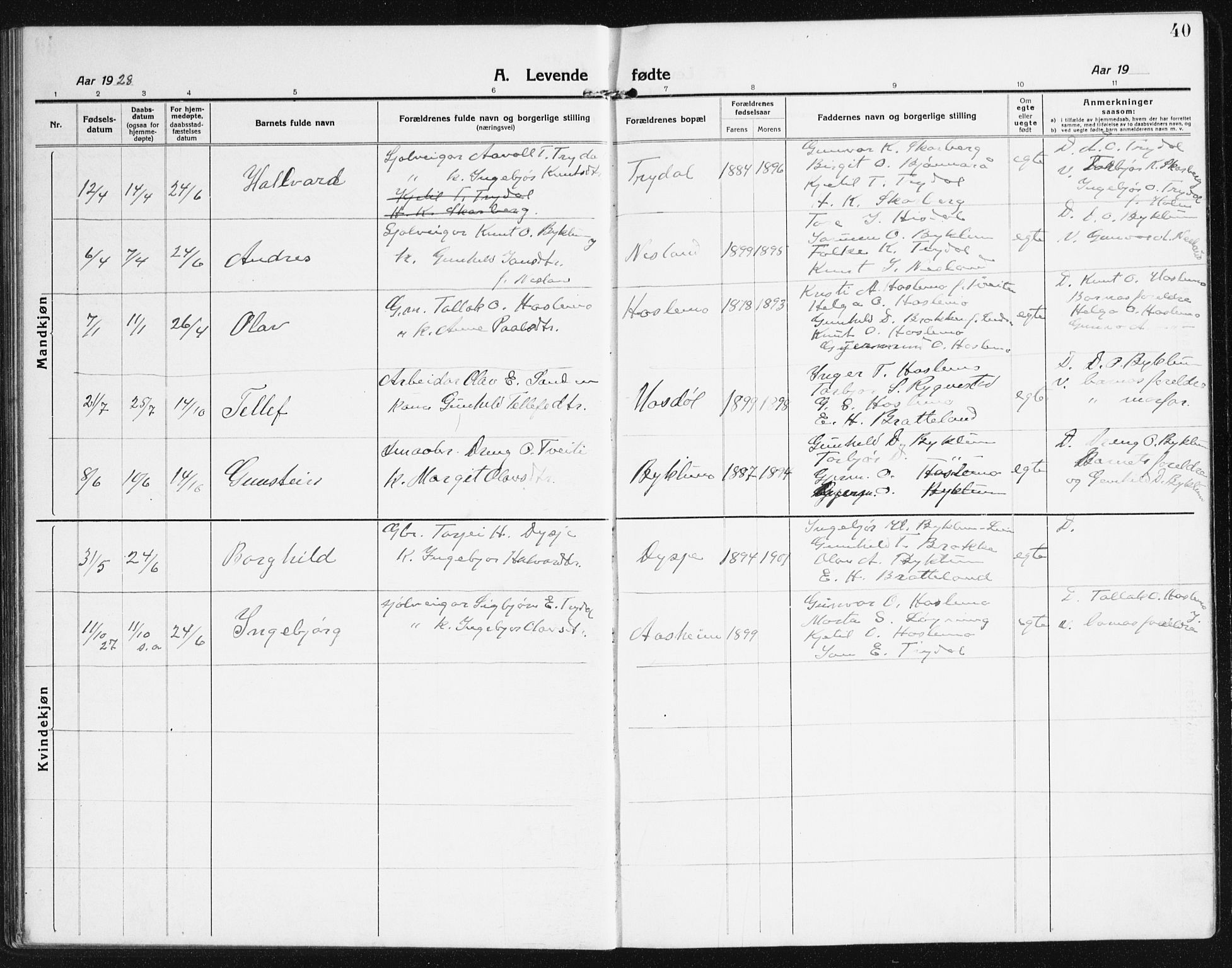 Valle sokneprestkontor, SAK/1111-0044/F/Fb/Fba/L0004: Parish register (copy) no. B 4, 1917-1944, p. 40