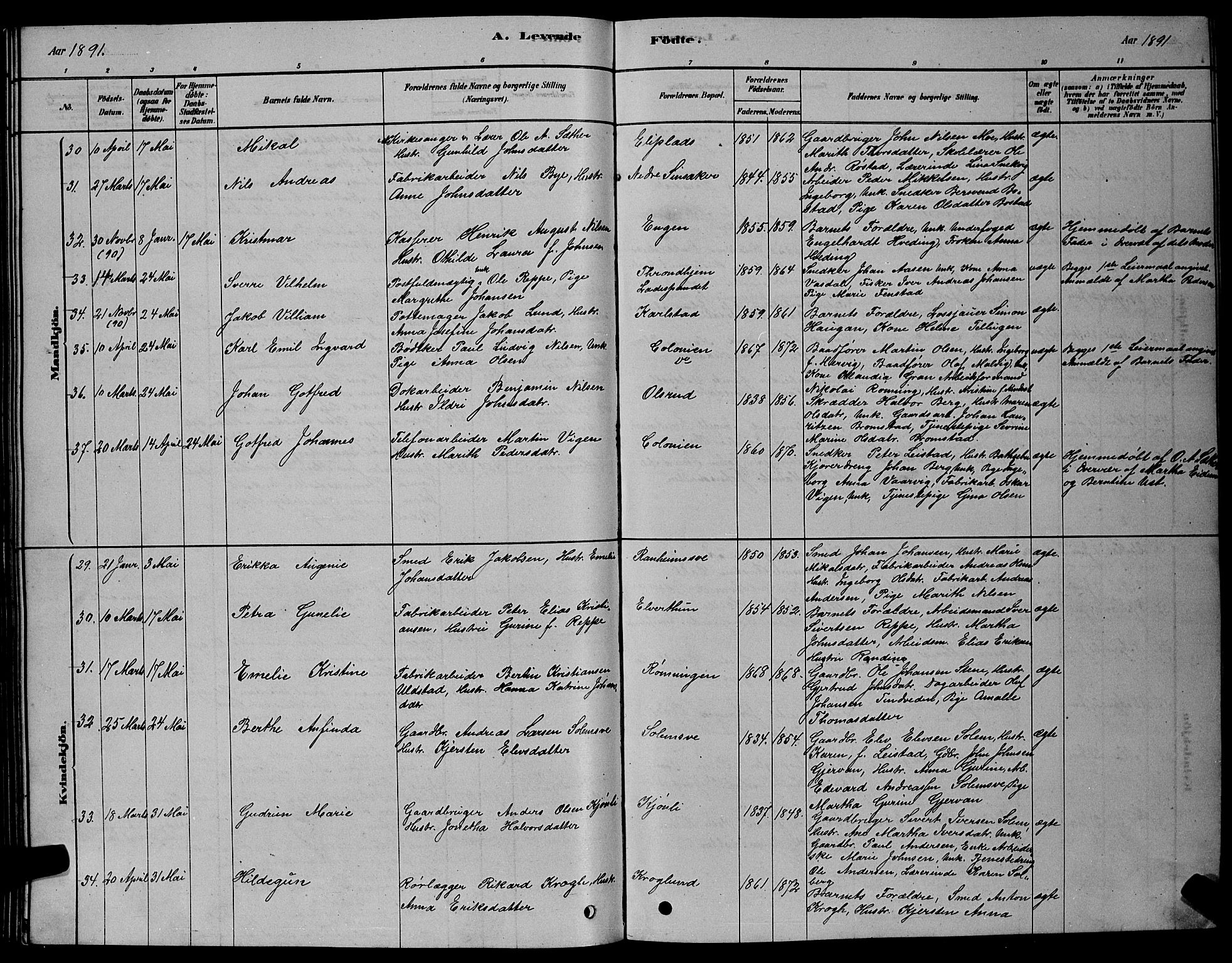 Ministerialprotokoller, klokkerbøker og fødselsregistre - Sør-Trøndelag, AV/SAT-A-1456/606/L0312: Parish register (copy) no. 606C08, 1878-1894