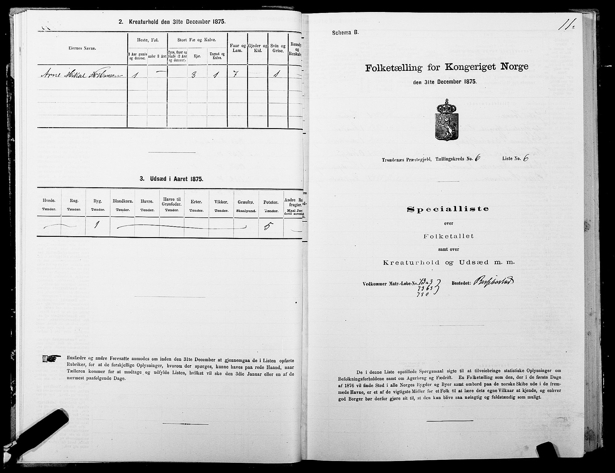 SATØ, 1875 census for 1914P Trondenes, 1875, p. 6011