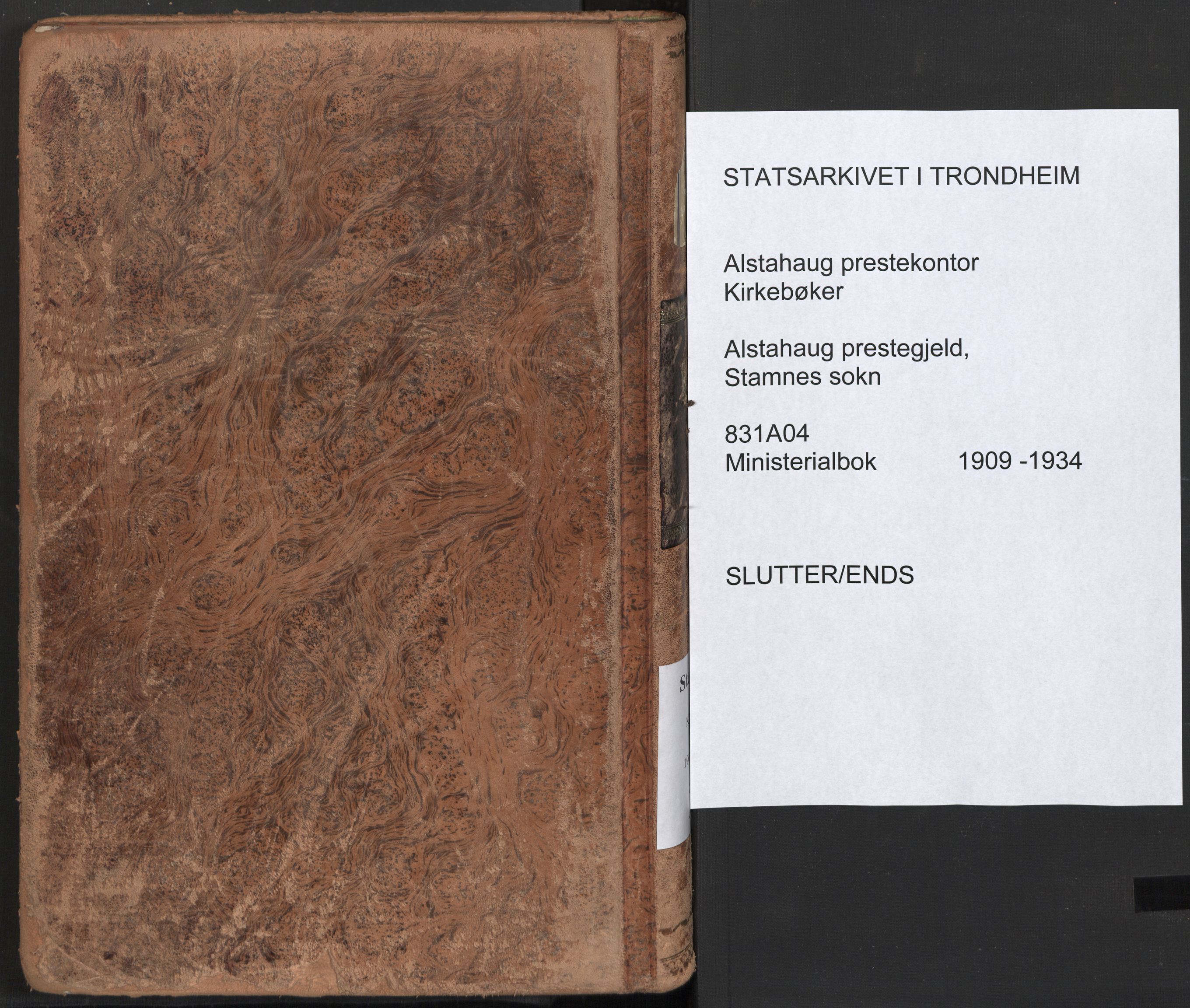 Ministerialprotokoller, klokkerbøker og fødselsregistre - Nordland, AV/SAT-A-1459/831/L0473: Parish register (official) no. 831A04, 1909-1934