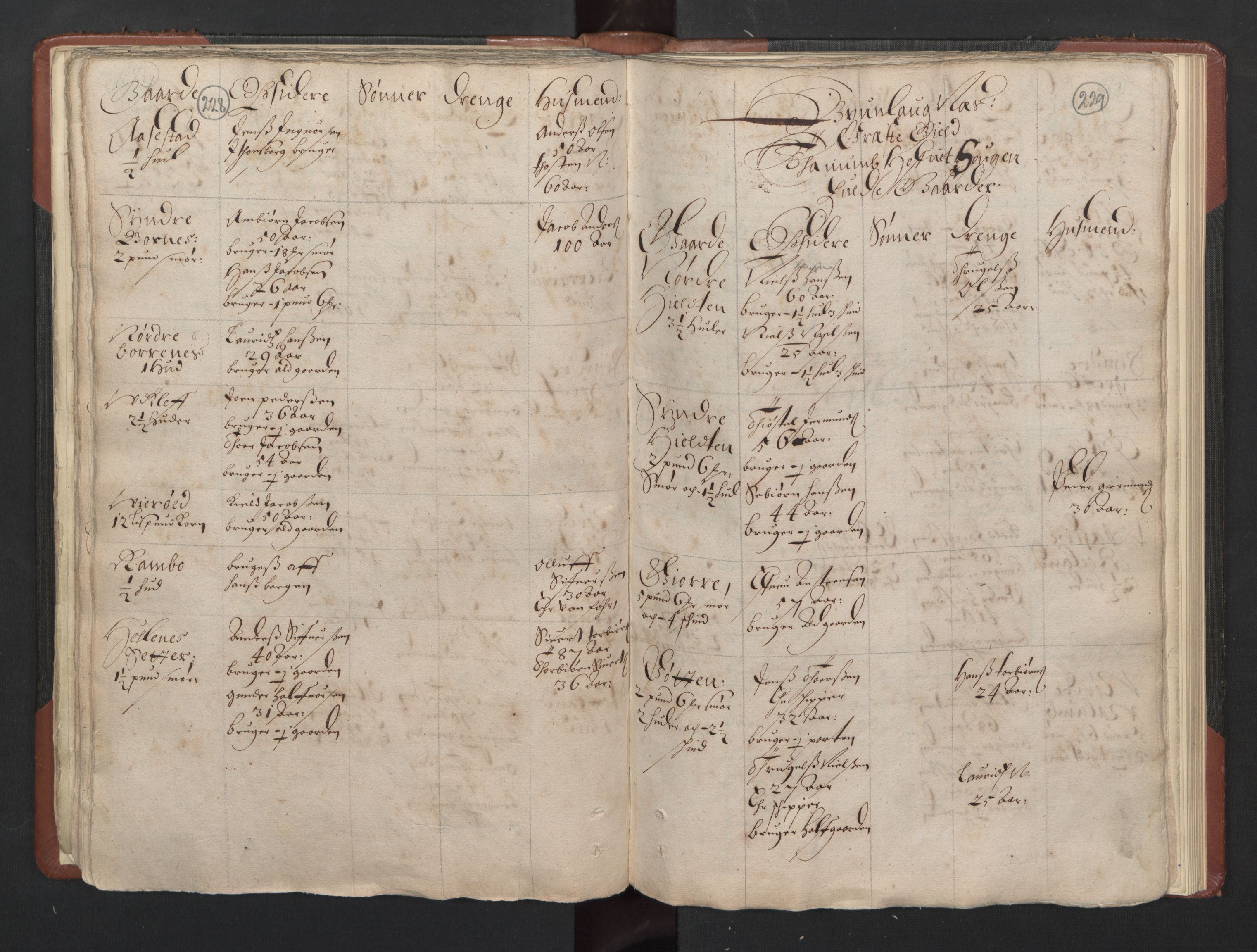 RA, Bailiff's Census 1664-1666, no. 5: Modern Buskerud county and modern Vestfold county, 1664, p. 228-229