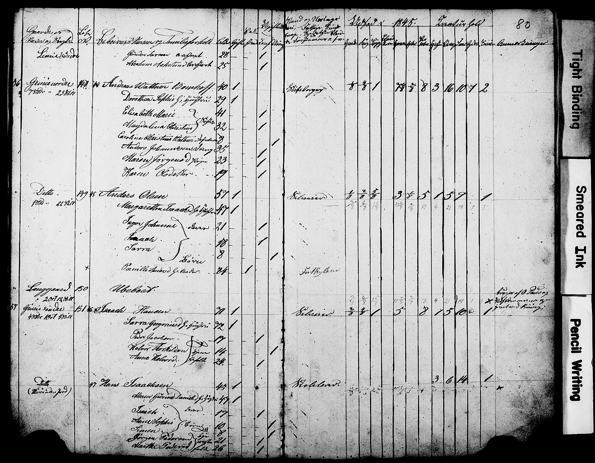 , Census 1845 for Gjerpen, 1845, p. 80