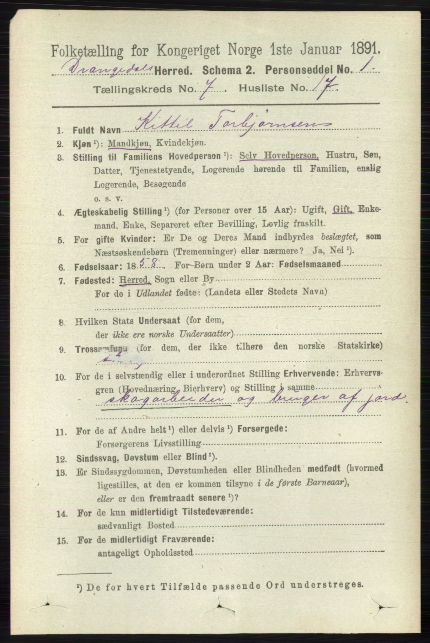 RA, 1891 census for 0817 Drangedal, 1891, p. 2513