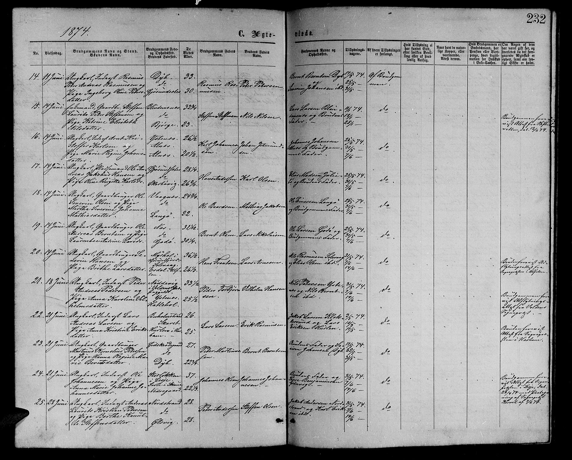 Ministerialprotokoller, klokkerbøker og fødselsregistre - Møre og Romsdal, AV/SAT-A-1454/528/L0428: Parish register (copy) no. 528C09, 1864-1880, p. 232