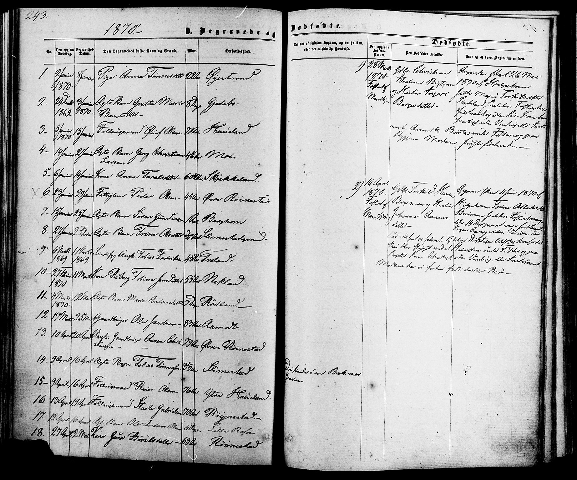Kvinesdal sokneprestkontor, SAK/1111-0026/F/Fa/Fab/L0007: Parish register (official) no. A 7, 1870-1885, p. 243