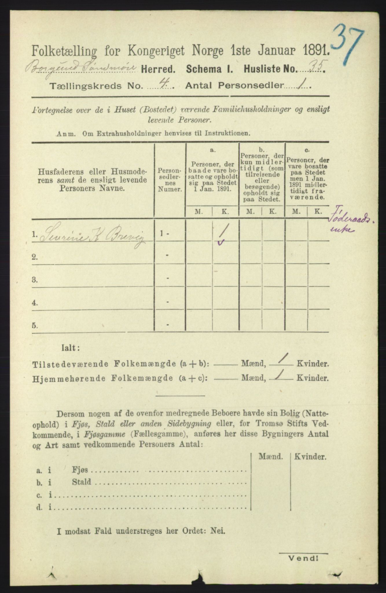 RA, 1891 census for 1531 Borgund, 1891, p. 994