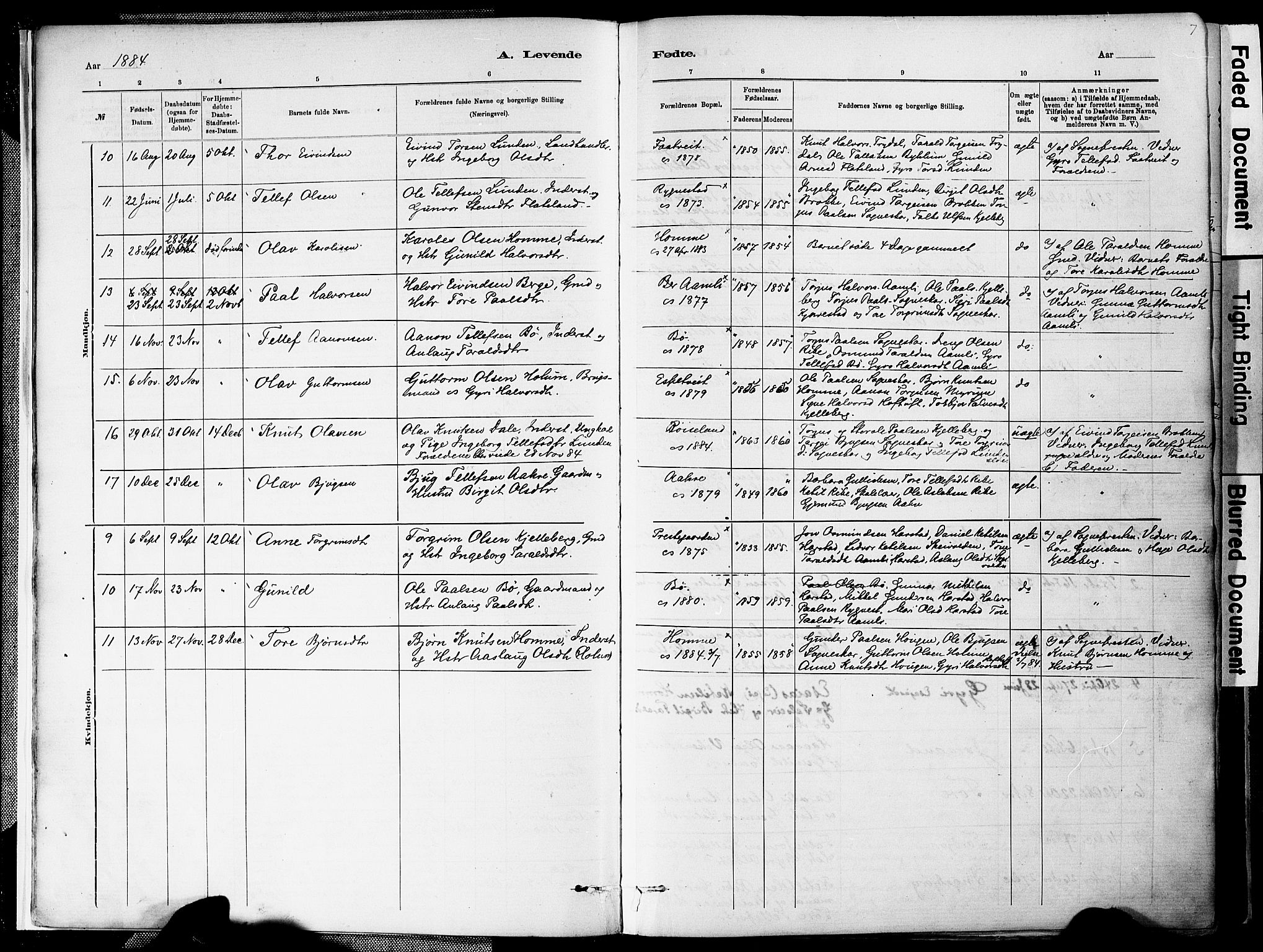 Valle sokneprestkontor, SAK/1111-0044/F/Fa/Fac/L0009: Parish register (official) no. A 9, 1882-1913, p. 7