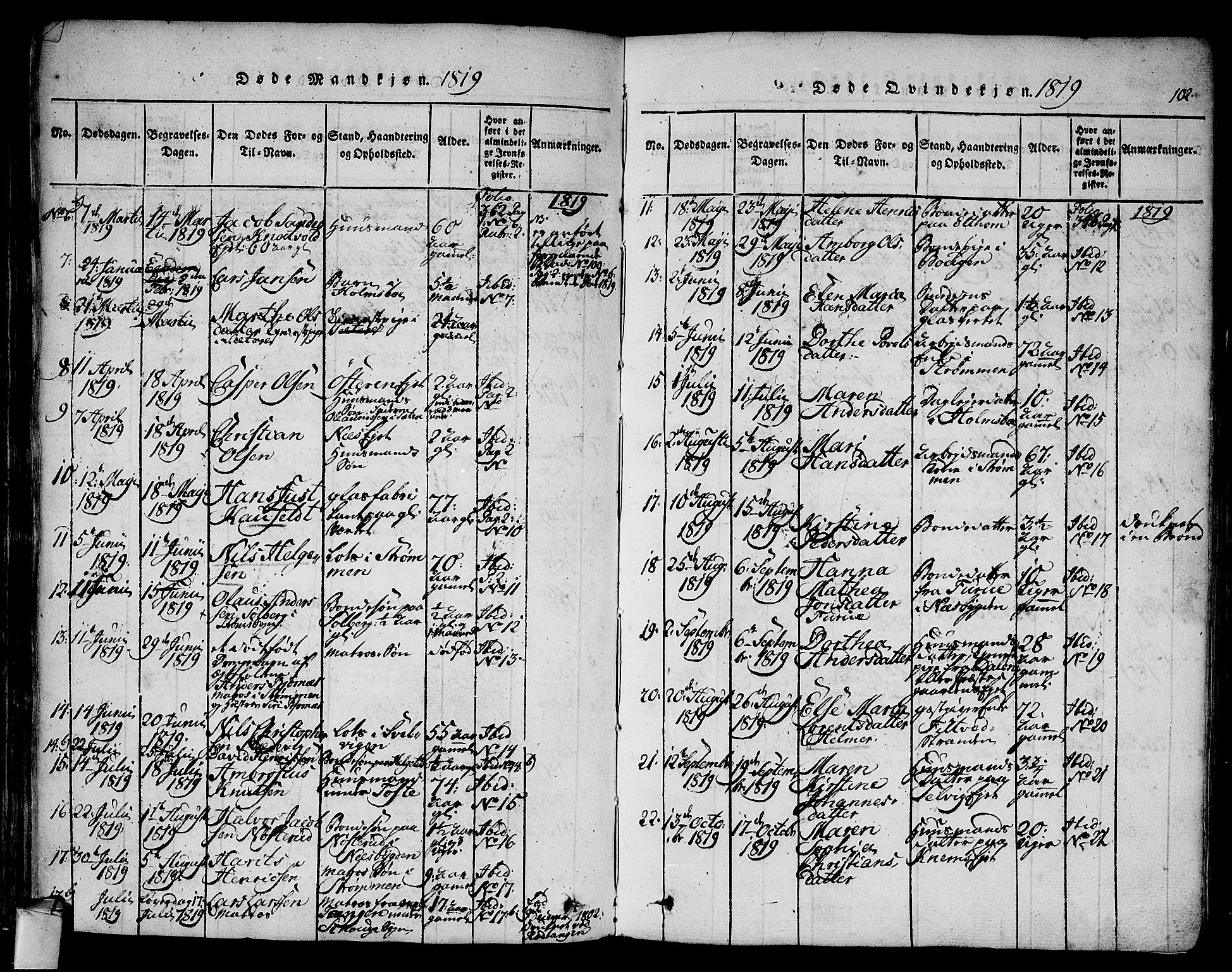 Hurum kirkebøker, AV/SAKO-A-229/F/Fa/L0009: Parish register (official) no. 9, 1816-1826, p. 102