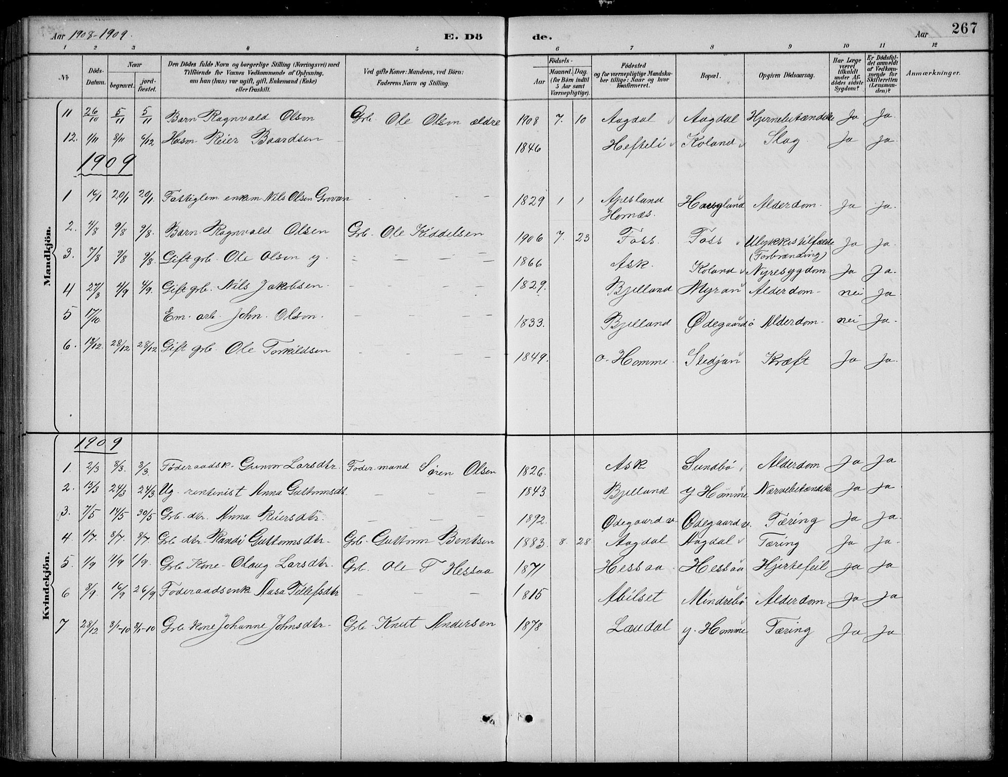 Bjelland sokneprestkontor, SAK/1111-0005/F/Fb/Fba/L0005: Parish register (copy) no. B 5, 1887-1923, p. 267