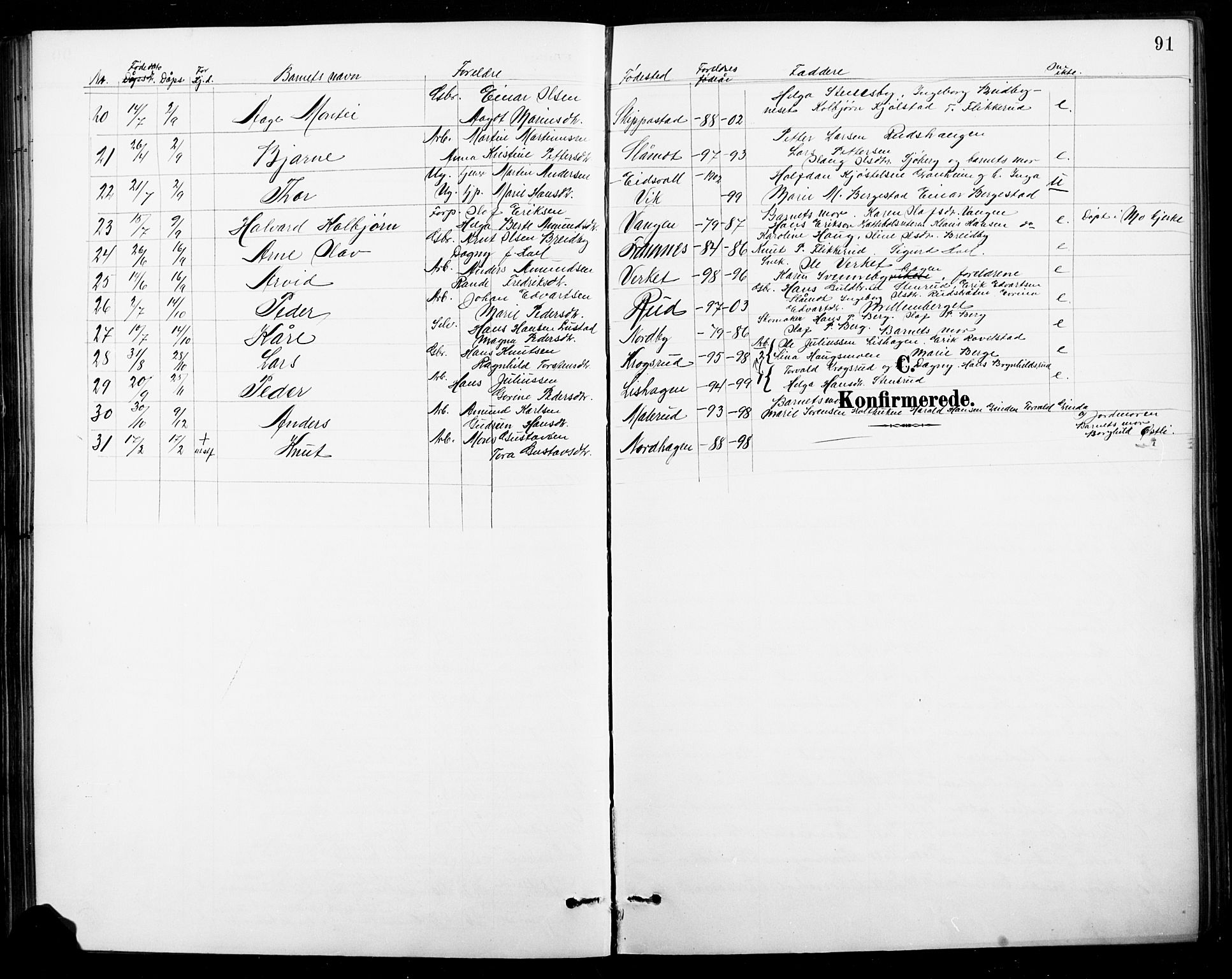 Nord-Odal prestekontor, AV/SAH-PREST-032/H/Ha/Hab/L0003: Parish register (copy) no. 3, 1895-1923, p. 91