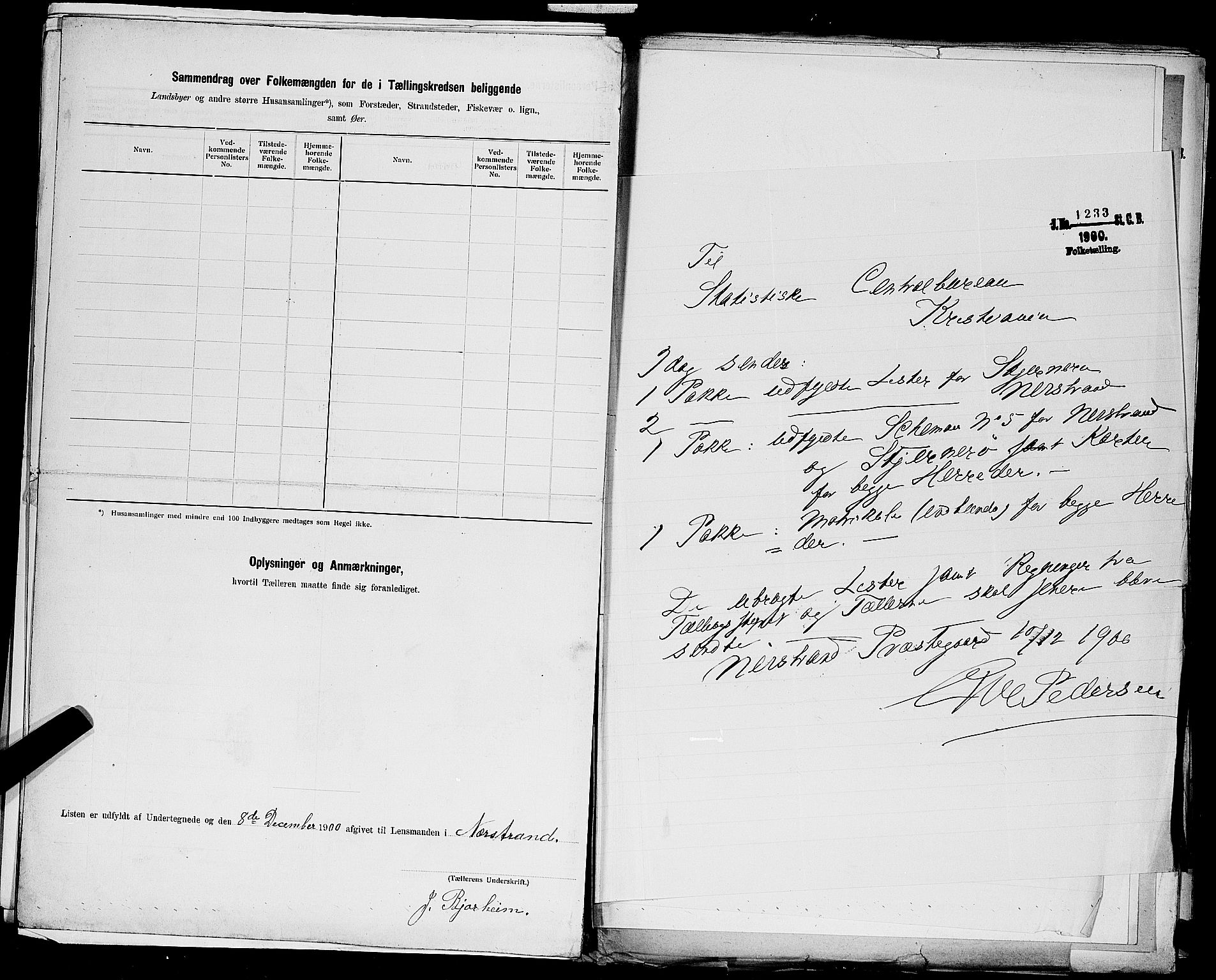 SAST, 1900 census for Nedstrand, 1900, p. 38