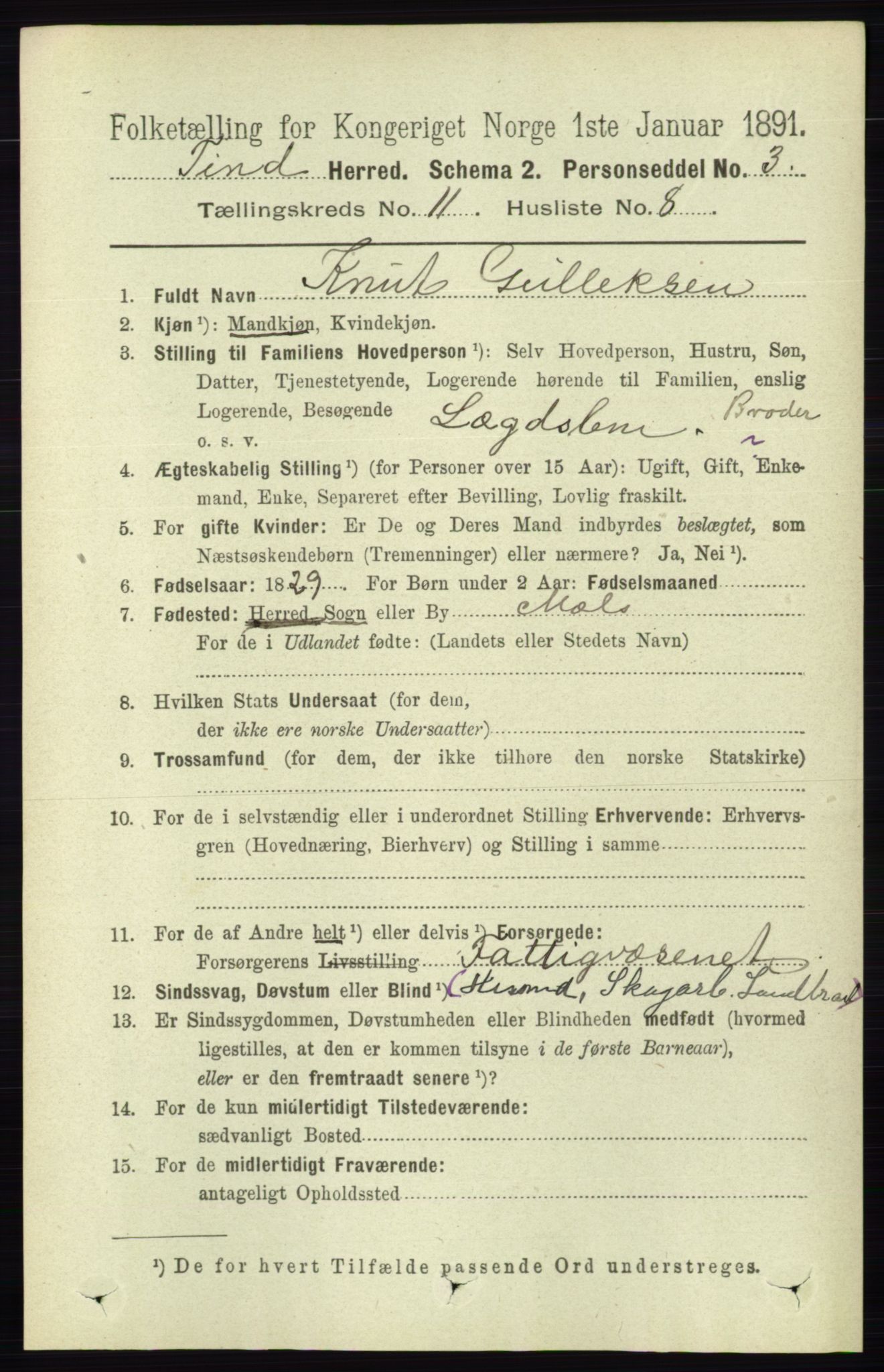 RA, 1891 census for 0826 Tinn, 1891, p. 2164