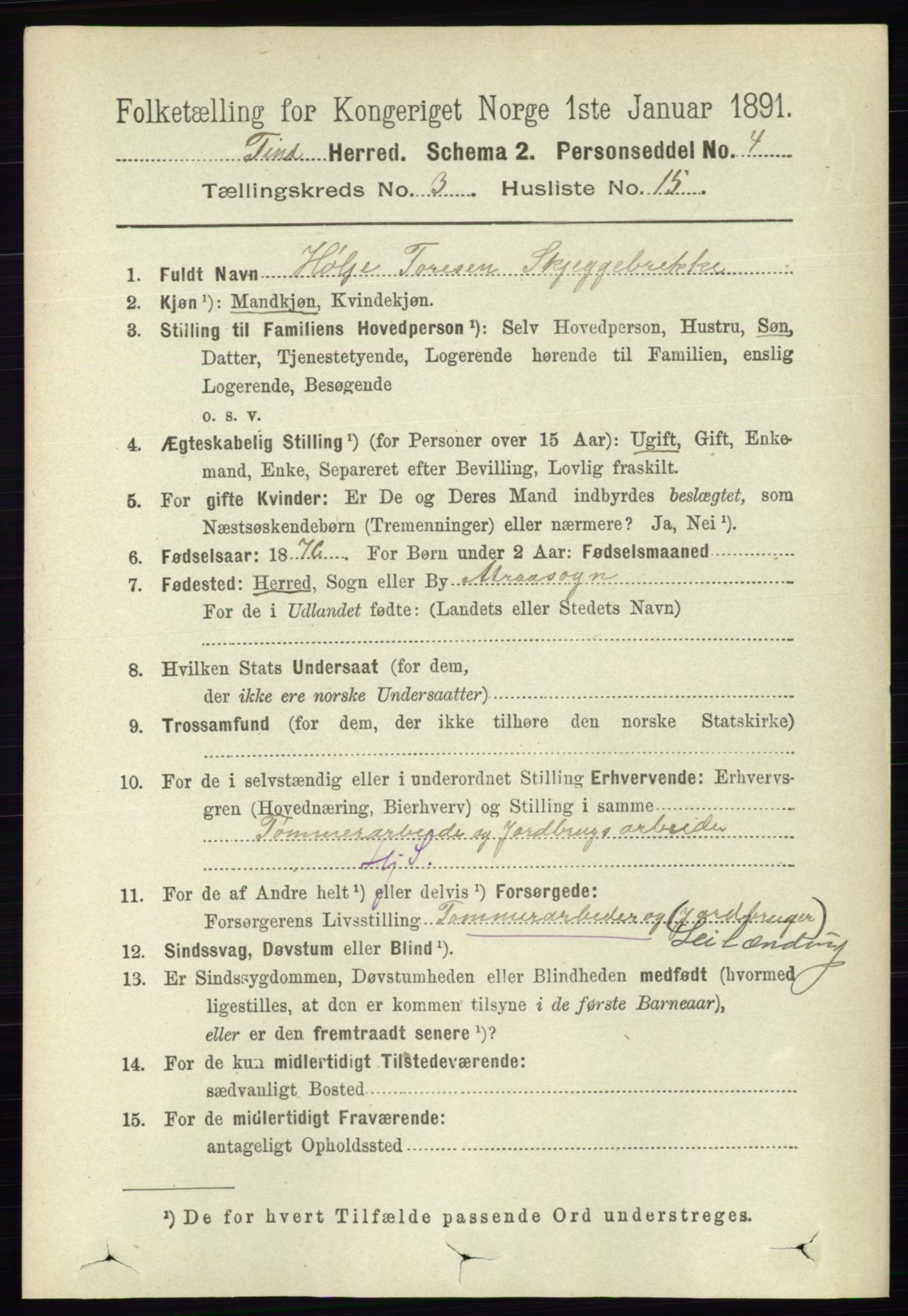 RA, 1891 census for 0826 Tinn, 1891, p. 586