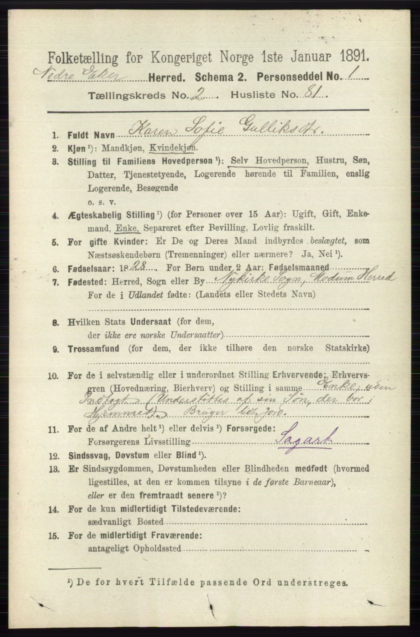 RA, 1891 census for 0625 Nedre Eiker, 1891, p. 975