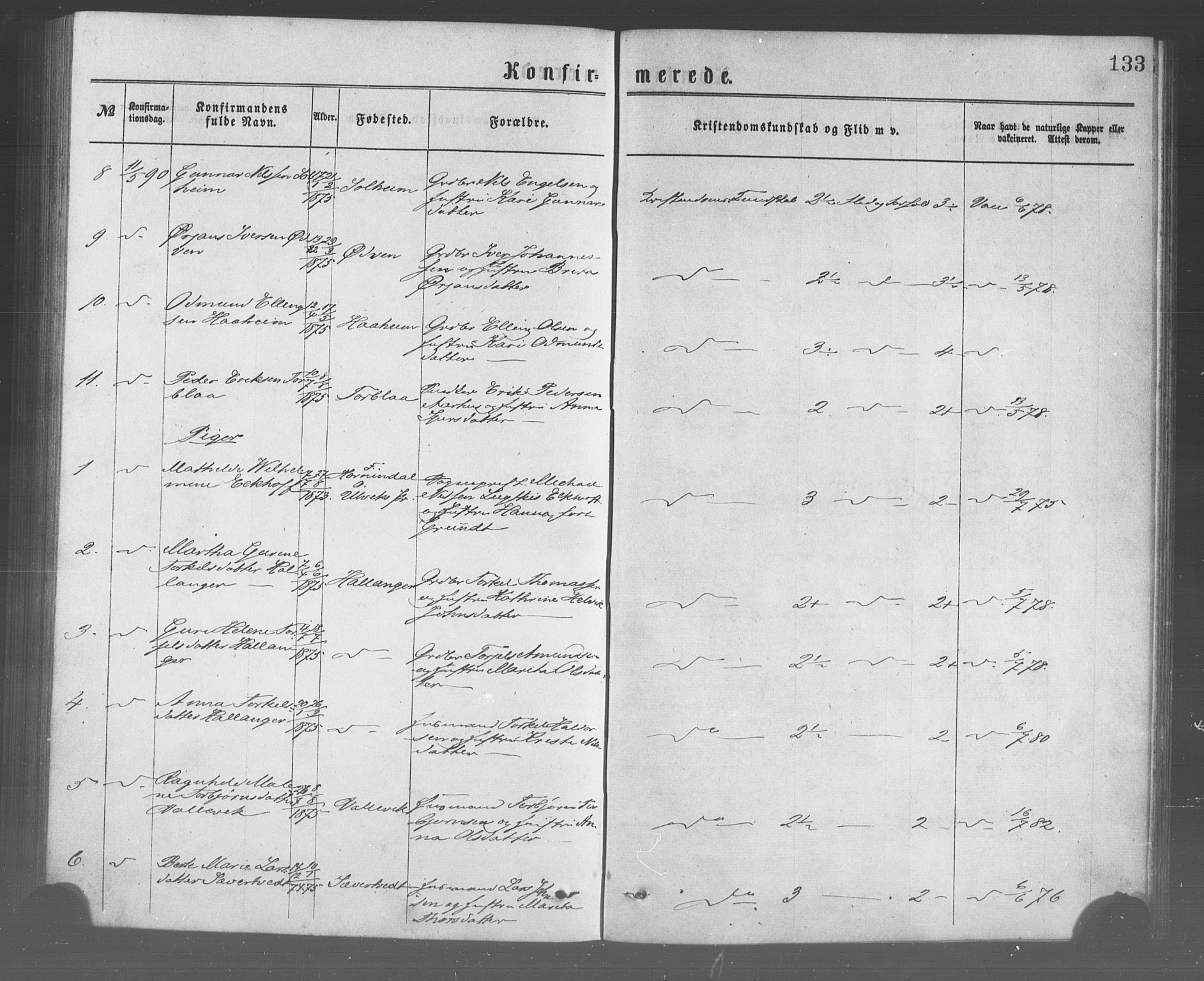 Ulvik sokneprestembete, AV/SAB-A-78801/H/Haa: Parish register (official) no. A 17, 1873-1891, p. 133