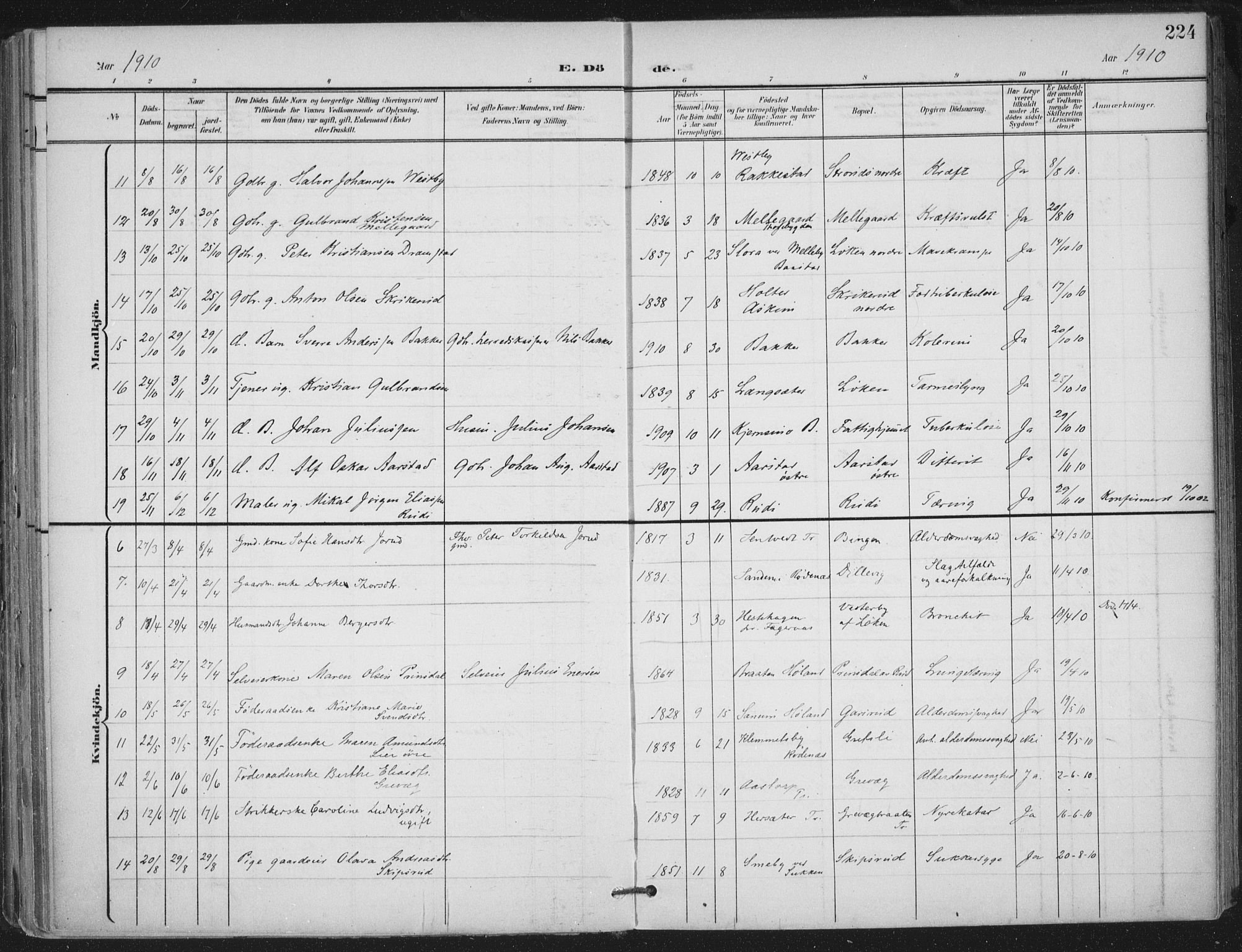 Trøgstad prestekontor Kirkebøker, AV/SAO-A-10925/F/Fa/L0011: Parish register (official) no. I 11, 1899-1919, p. 224